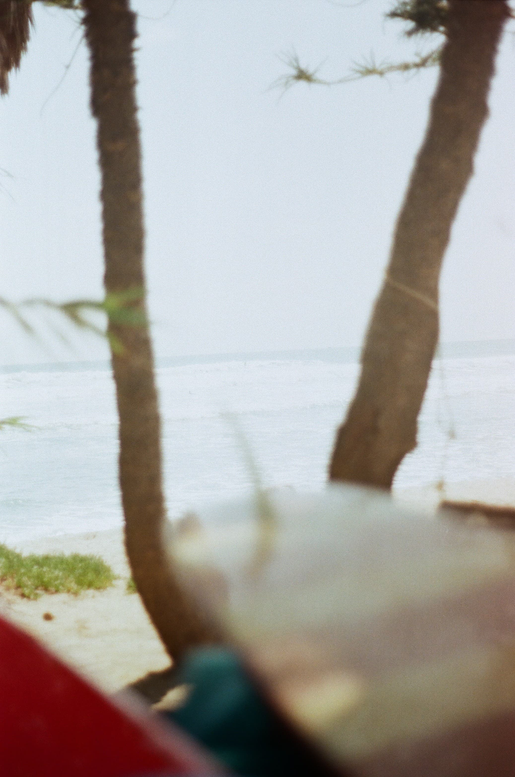 Film photograph by Nicholas Kouzmanoff