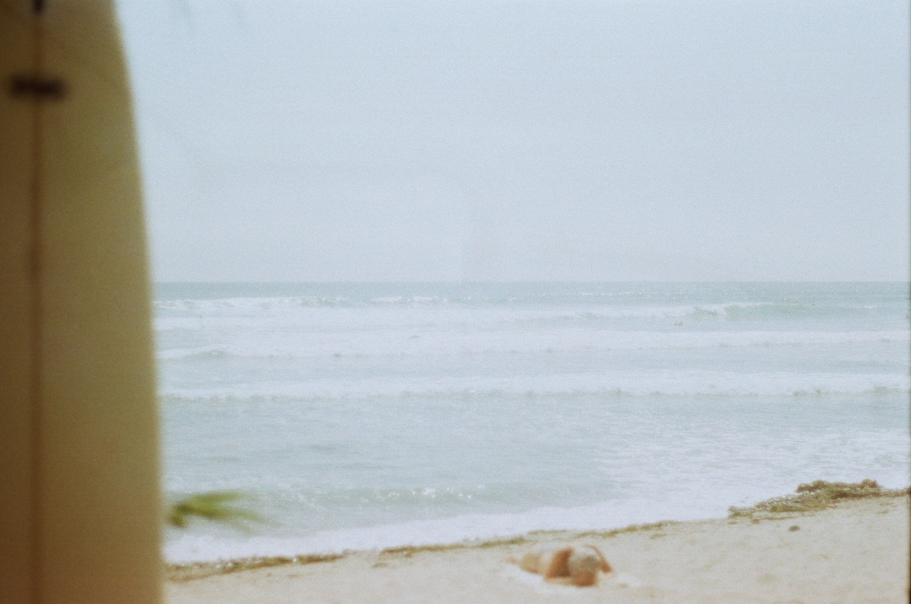 Film photograph by Nicholas Kouzmanoff
