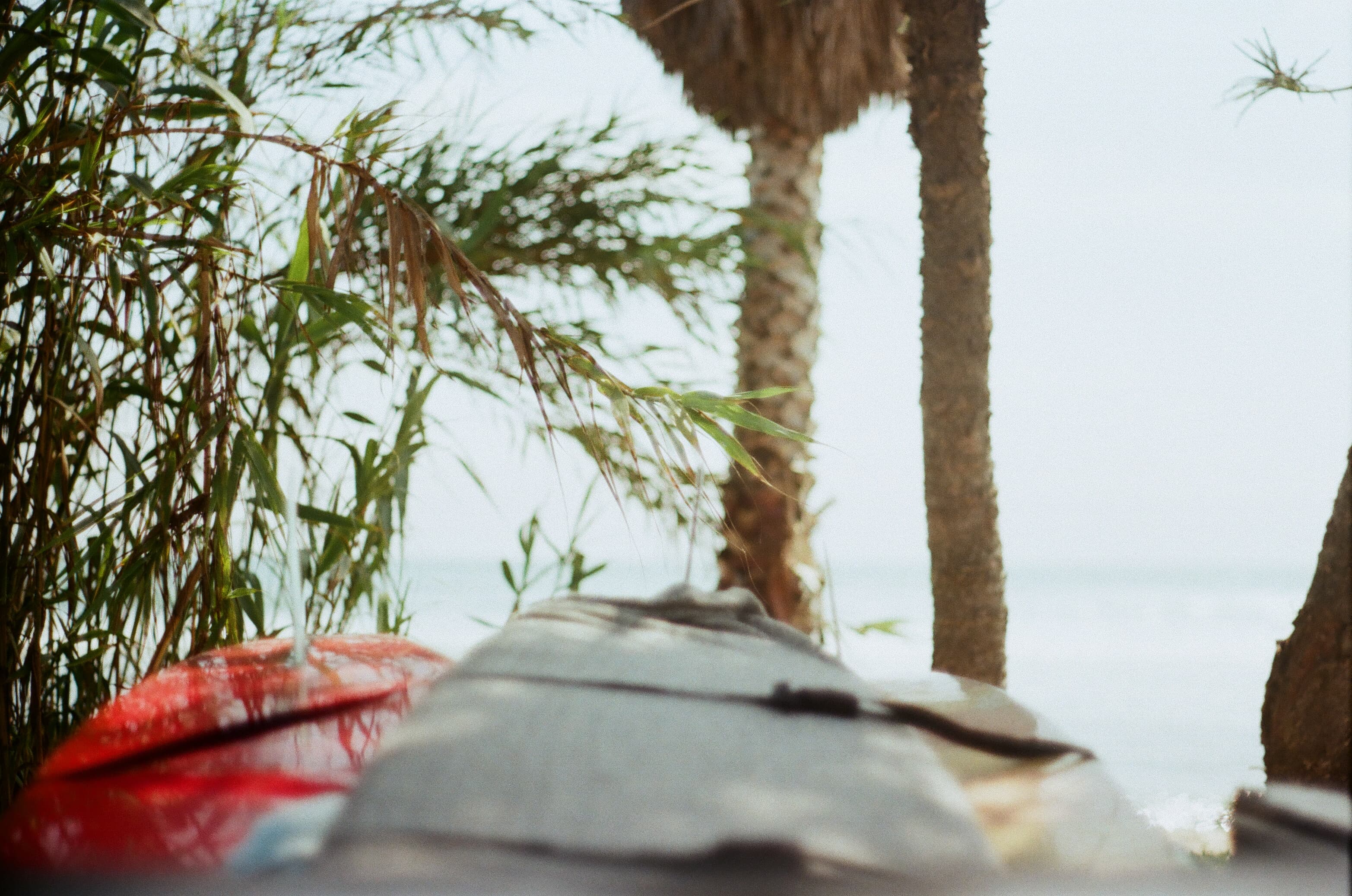 Film photograph by Nicholas Kouzmanoff