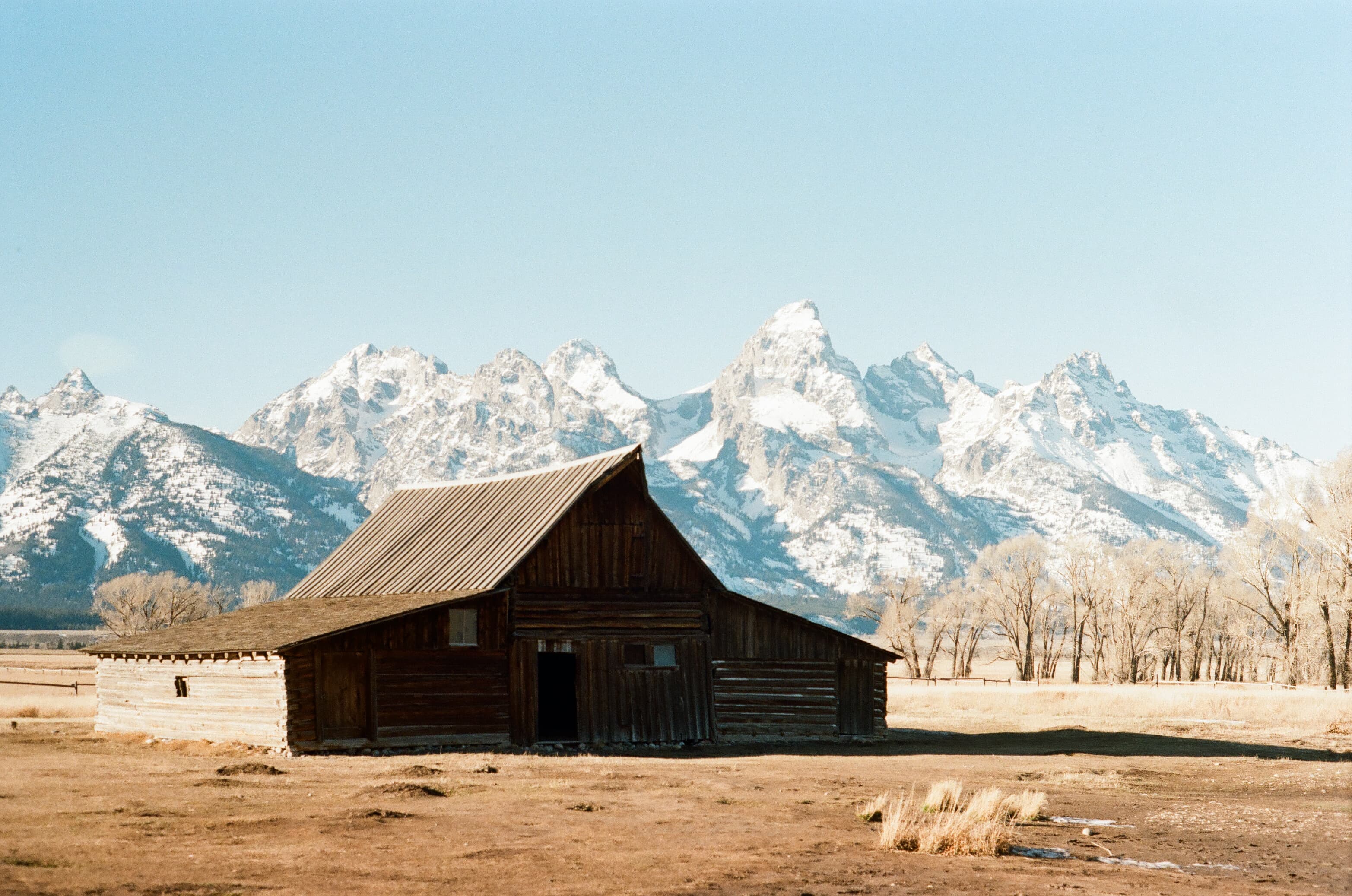Film photograph by Nicholas Kouzmanoff