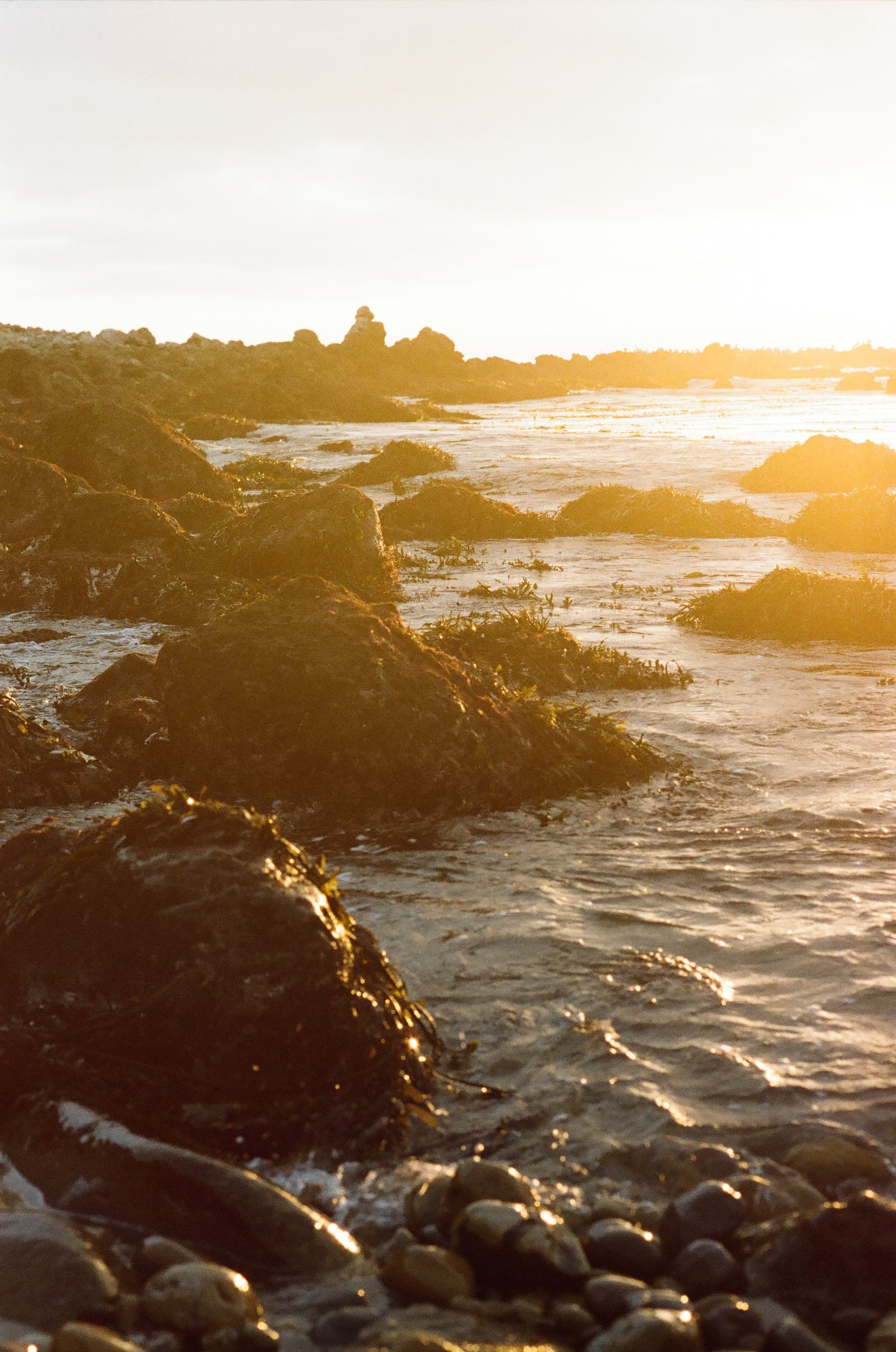 Film photograph by Nicholas Kouzmanoff