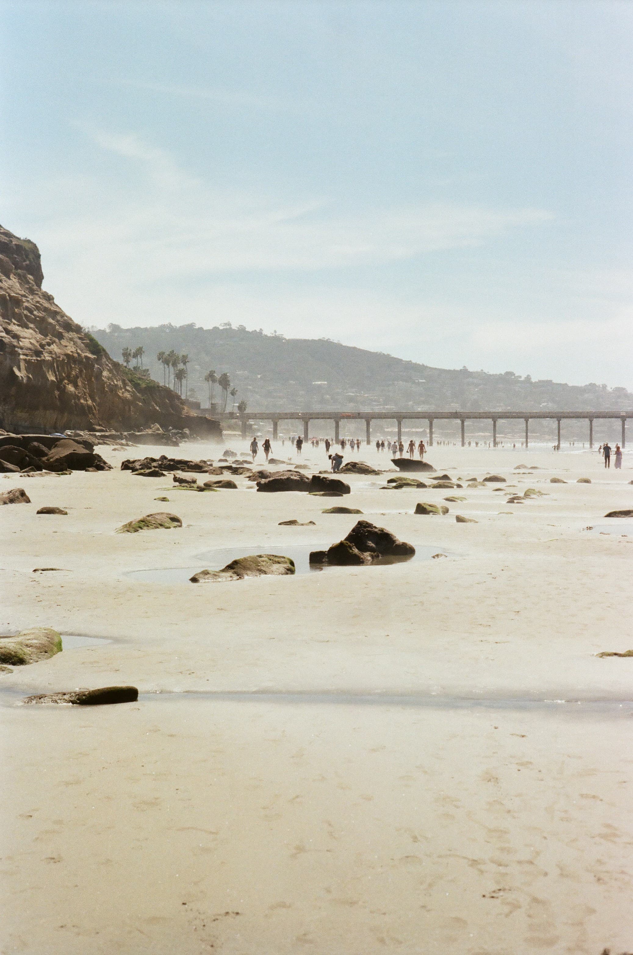 Film photograph by Nicholas Kouzmanoff