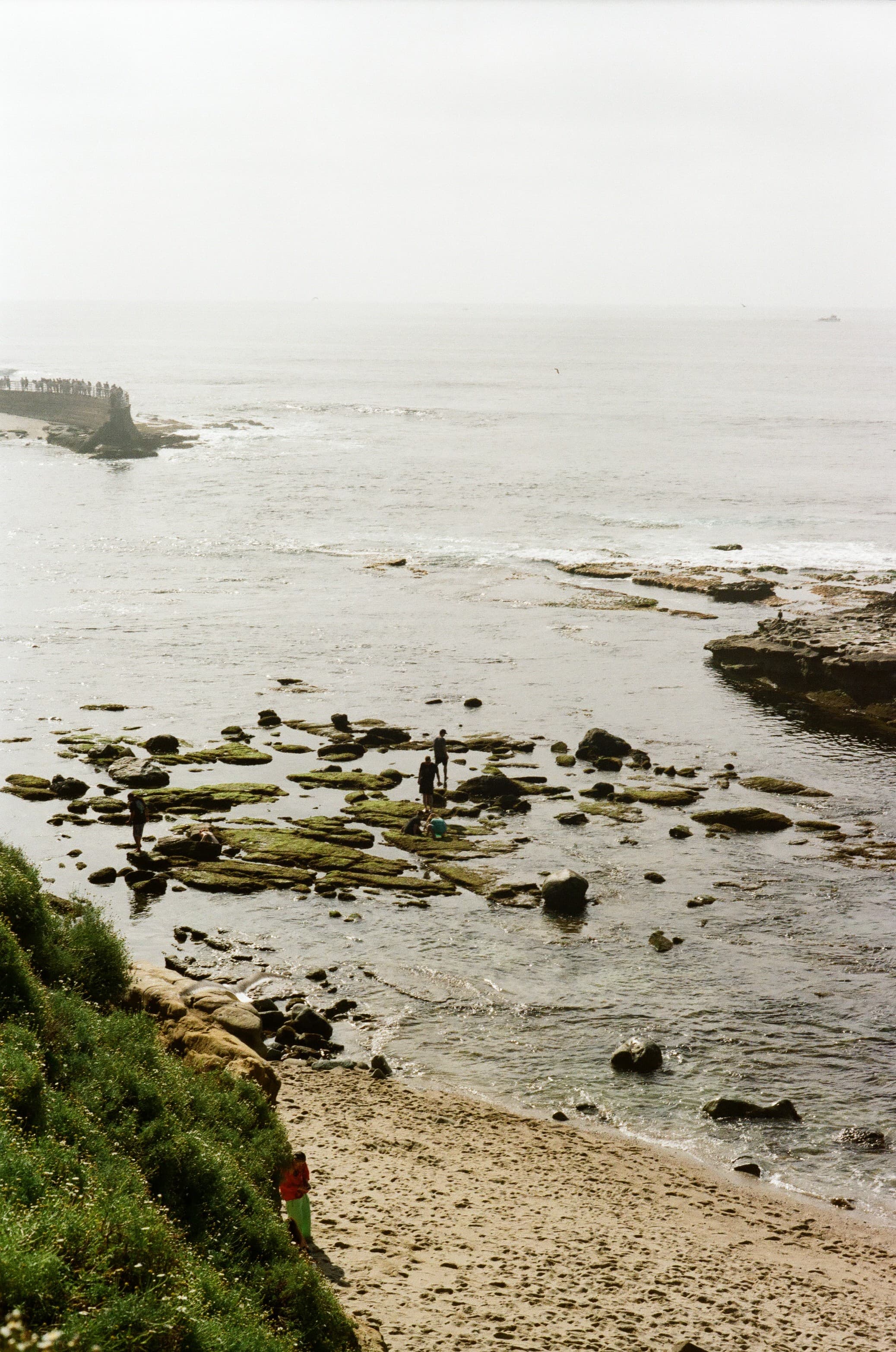 Film photograph by Nicholas Kouzmanoff