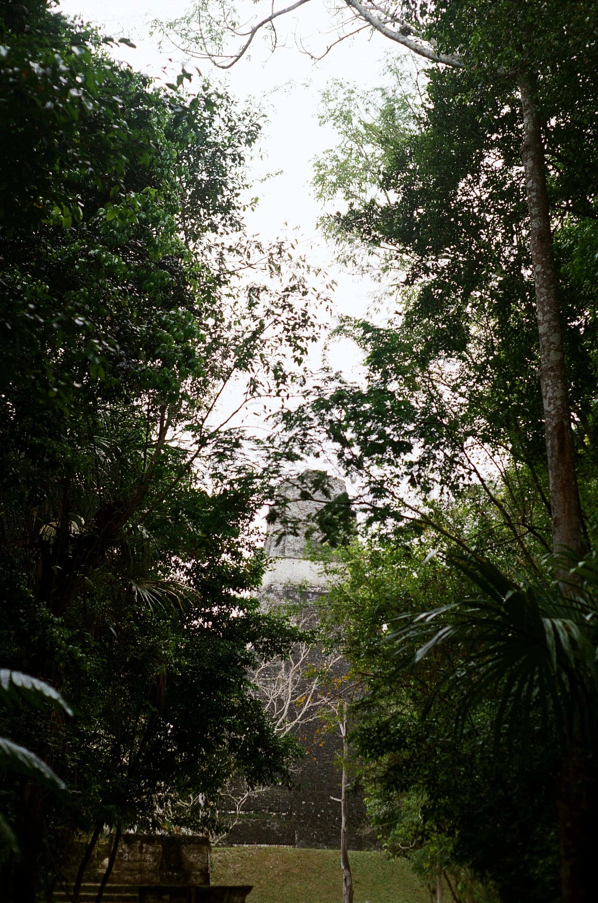 Belize — film photograph by Nicholas Kouzmanoff