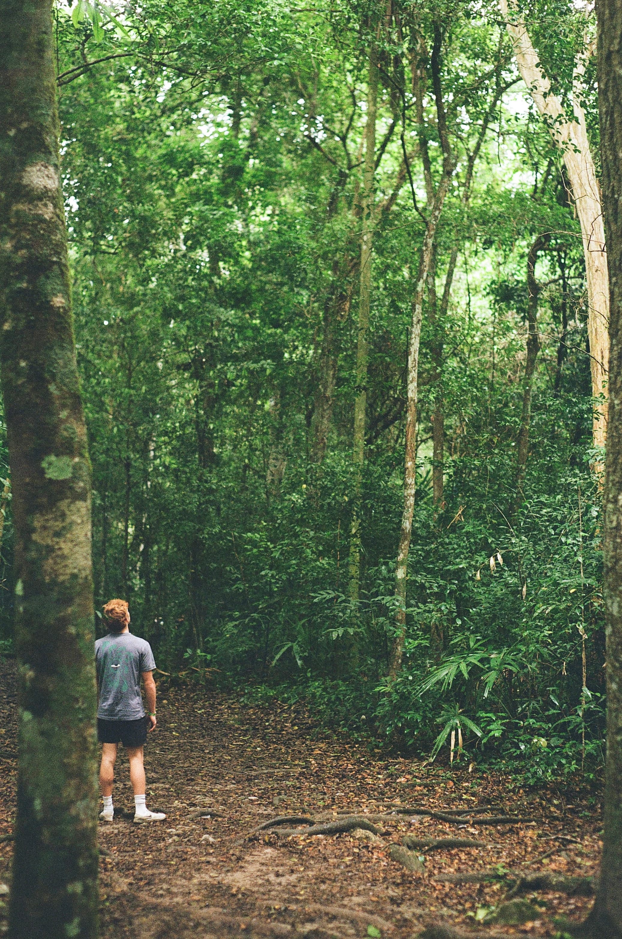 Belize — film photograph by Nicholas Kouzmanoff