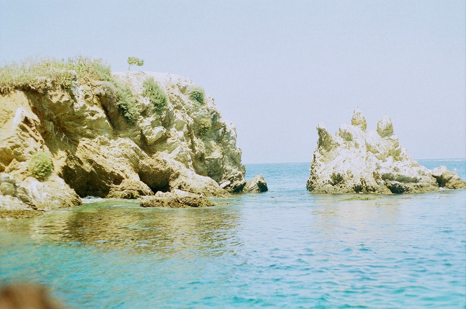 Catalina — film photograph by Nicholas Kouzmanoff