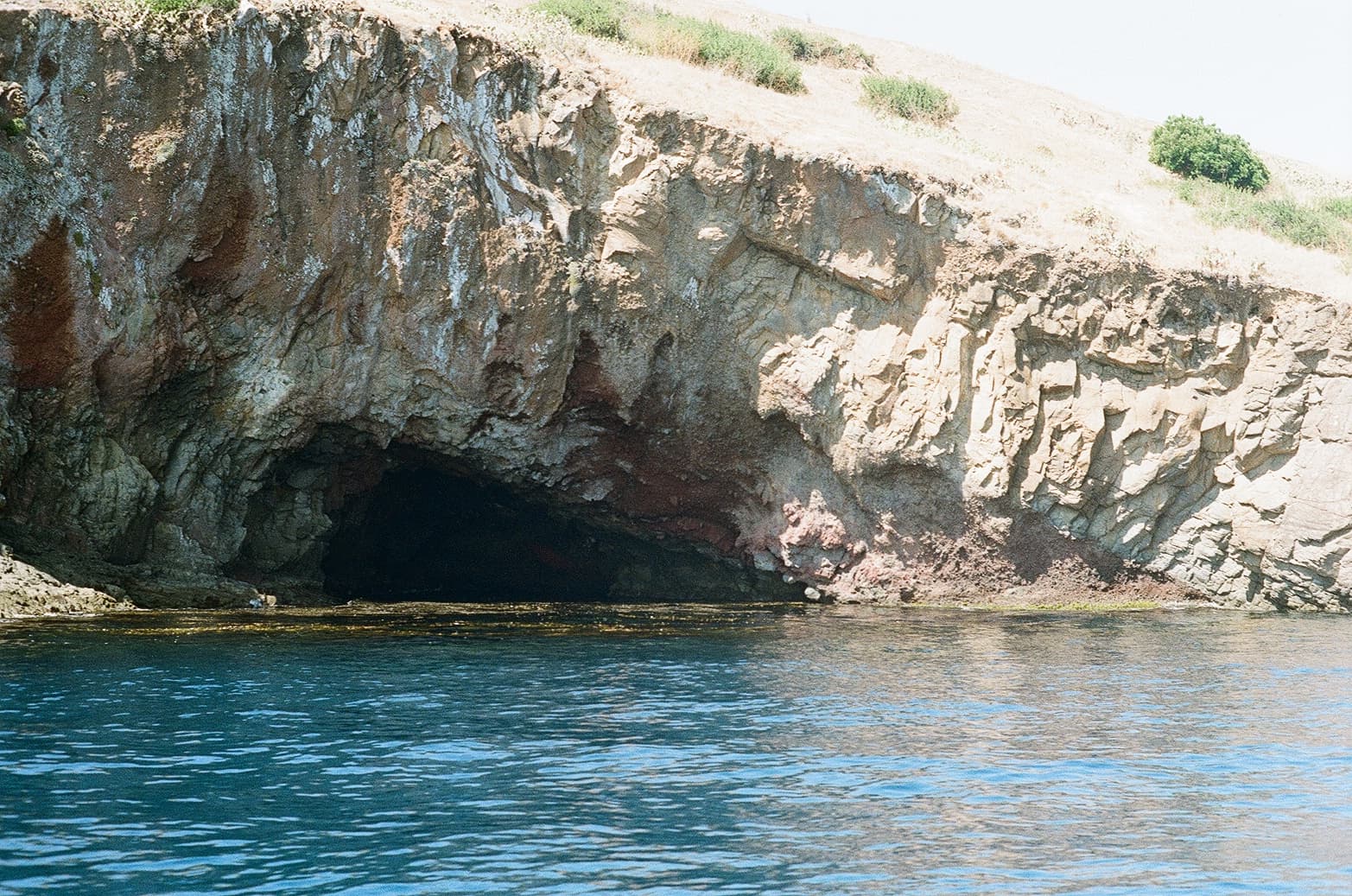 Catalina — film photograph by Nicholas Kouzmanoff