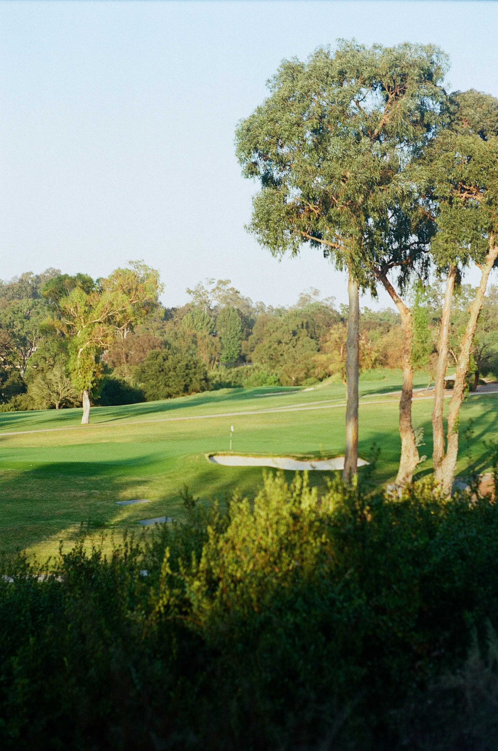 Golf — film photograph by Nicholas Kouzmanoff