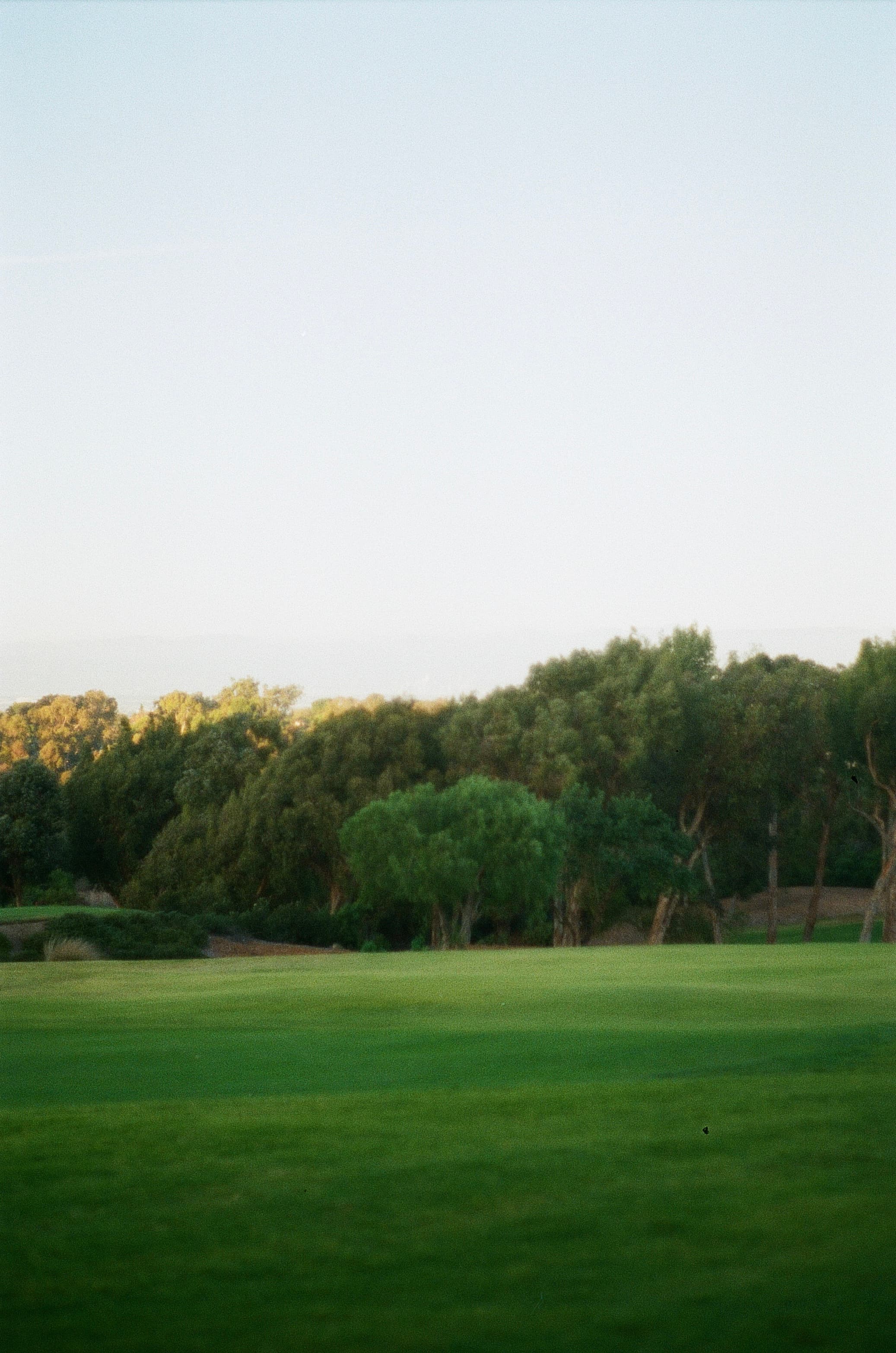 Golf — film photograph by Nicholas Kouzmanoff