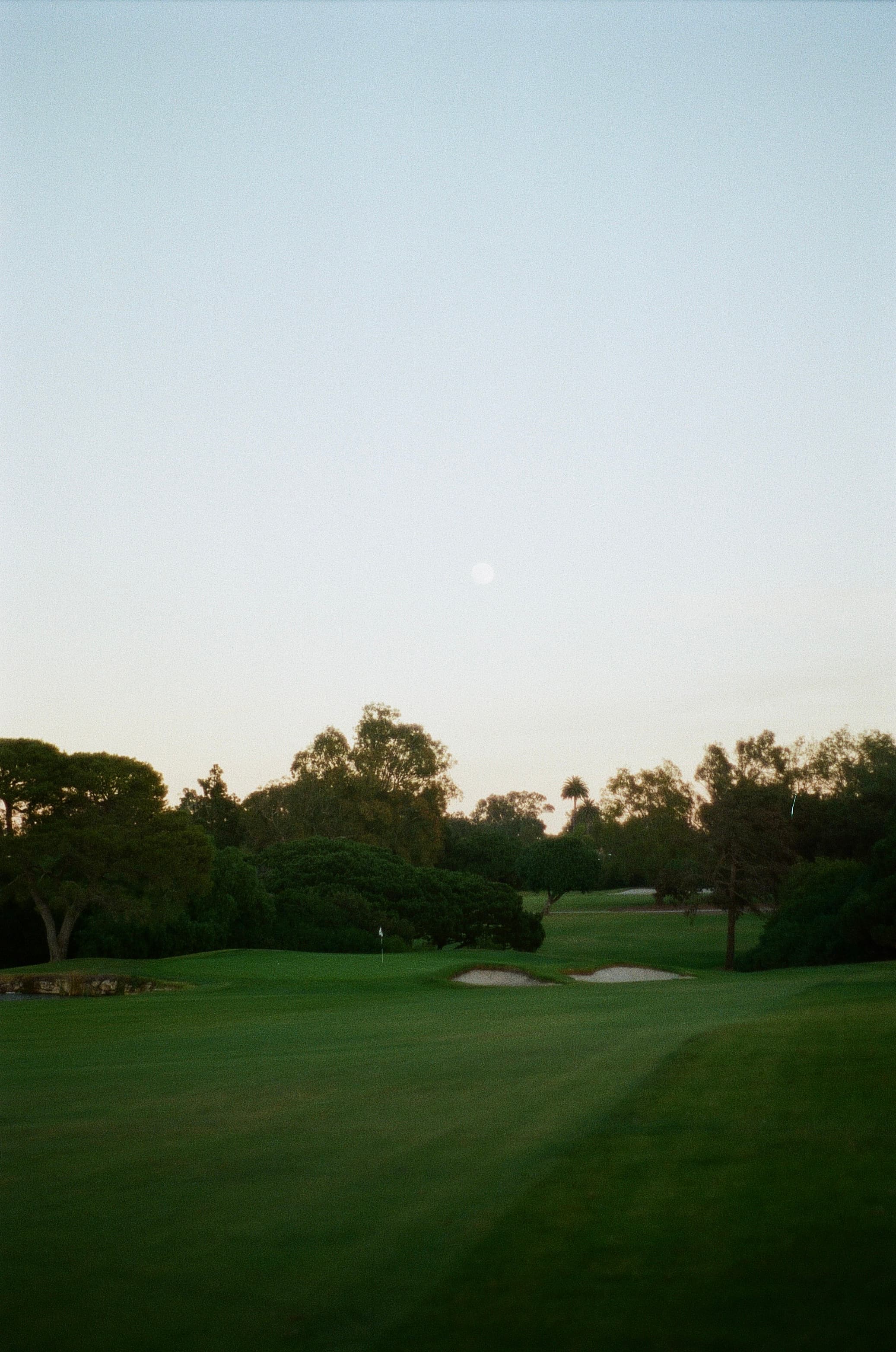 Golf — film photograph by Nicholas Kouzmanoff