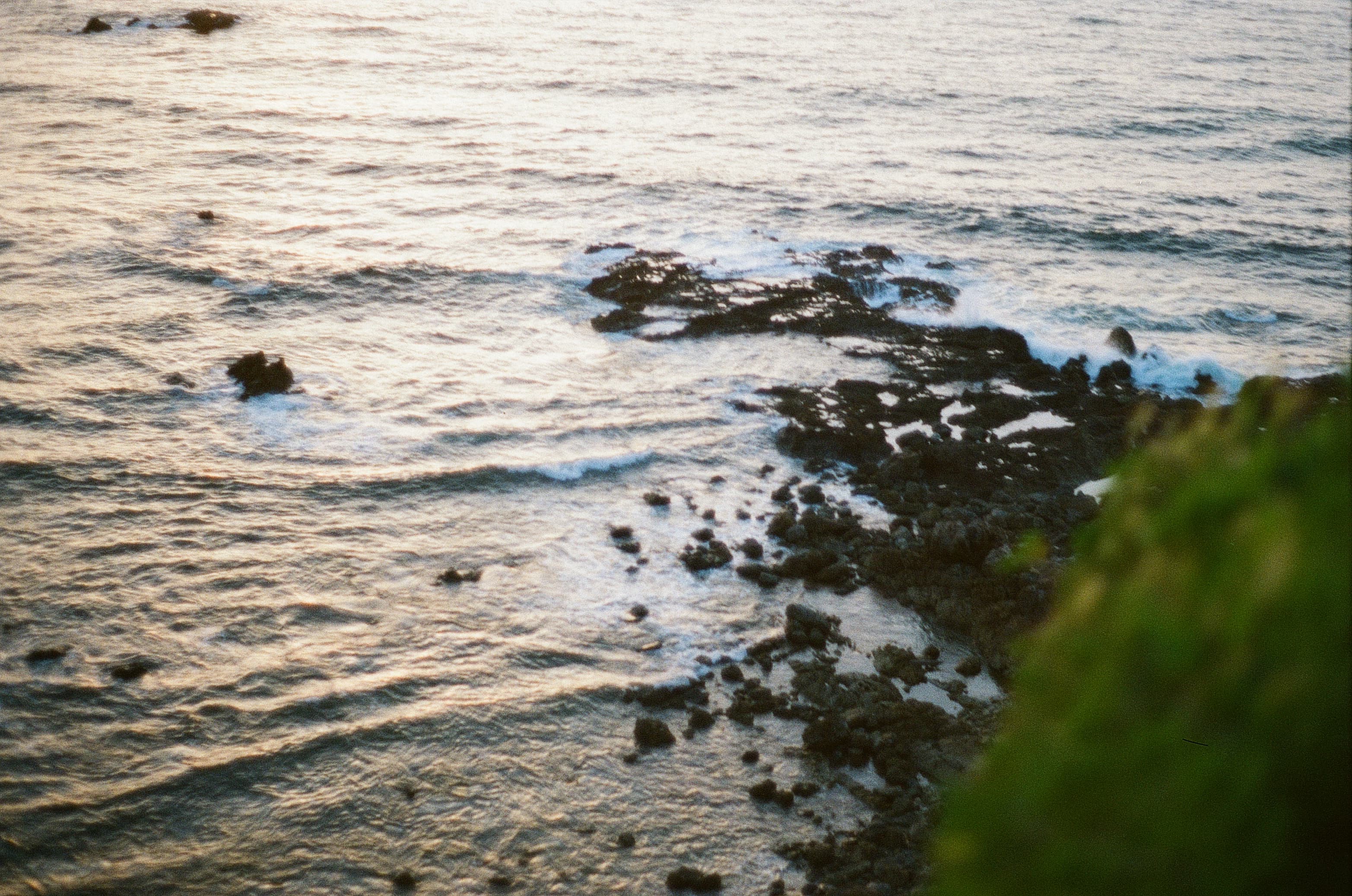 Film photograph by Nicholas Kouzmanoff