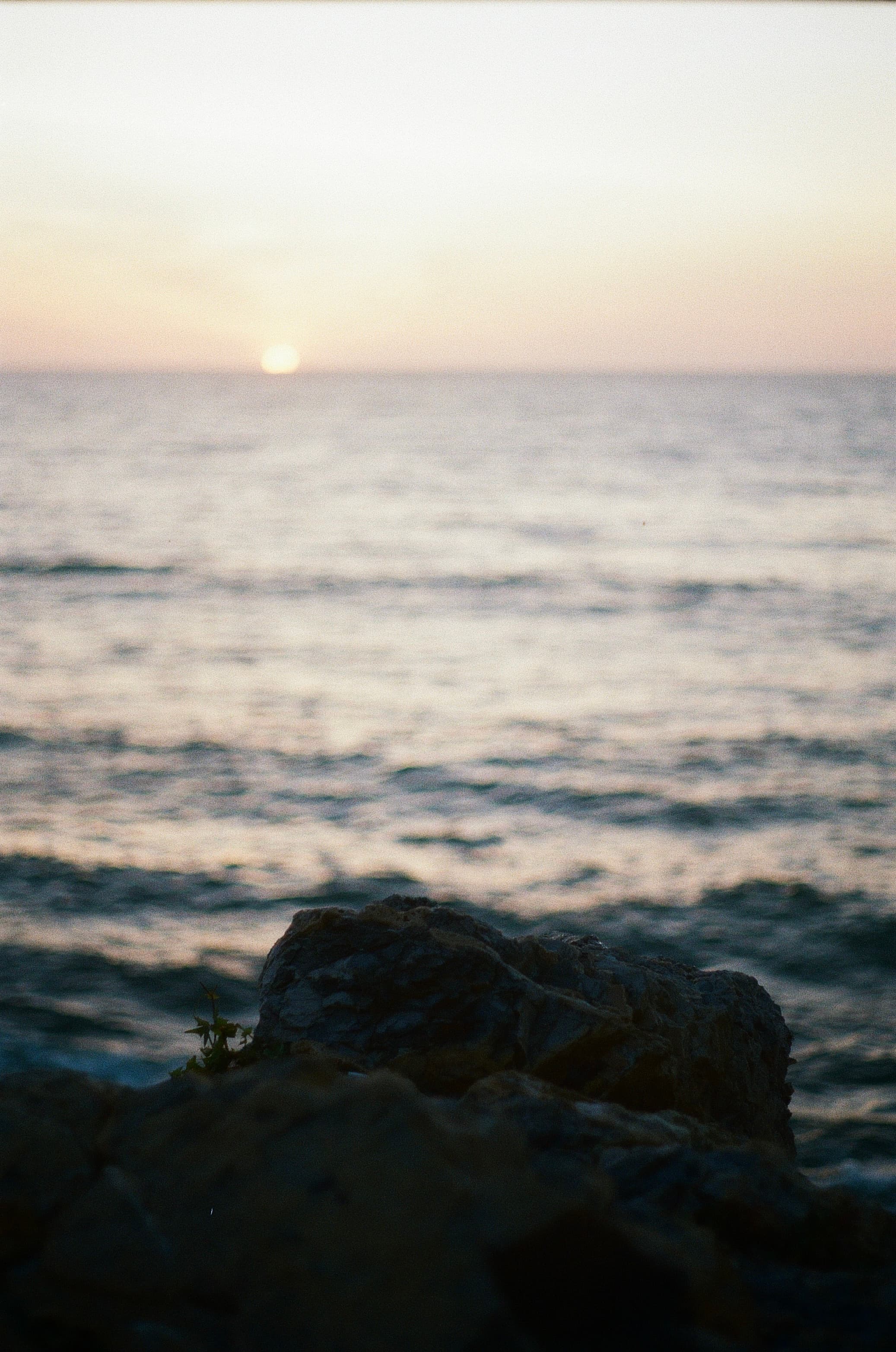 Film photograph by Nicholas Kouzmanoff