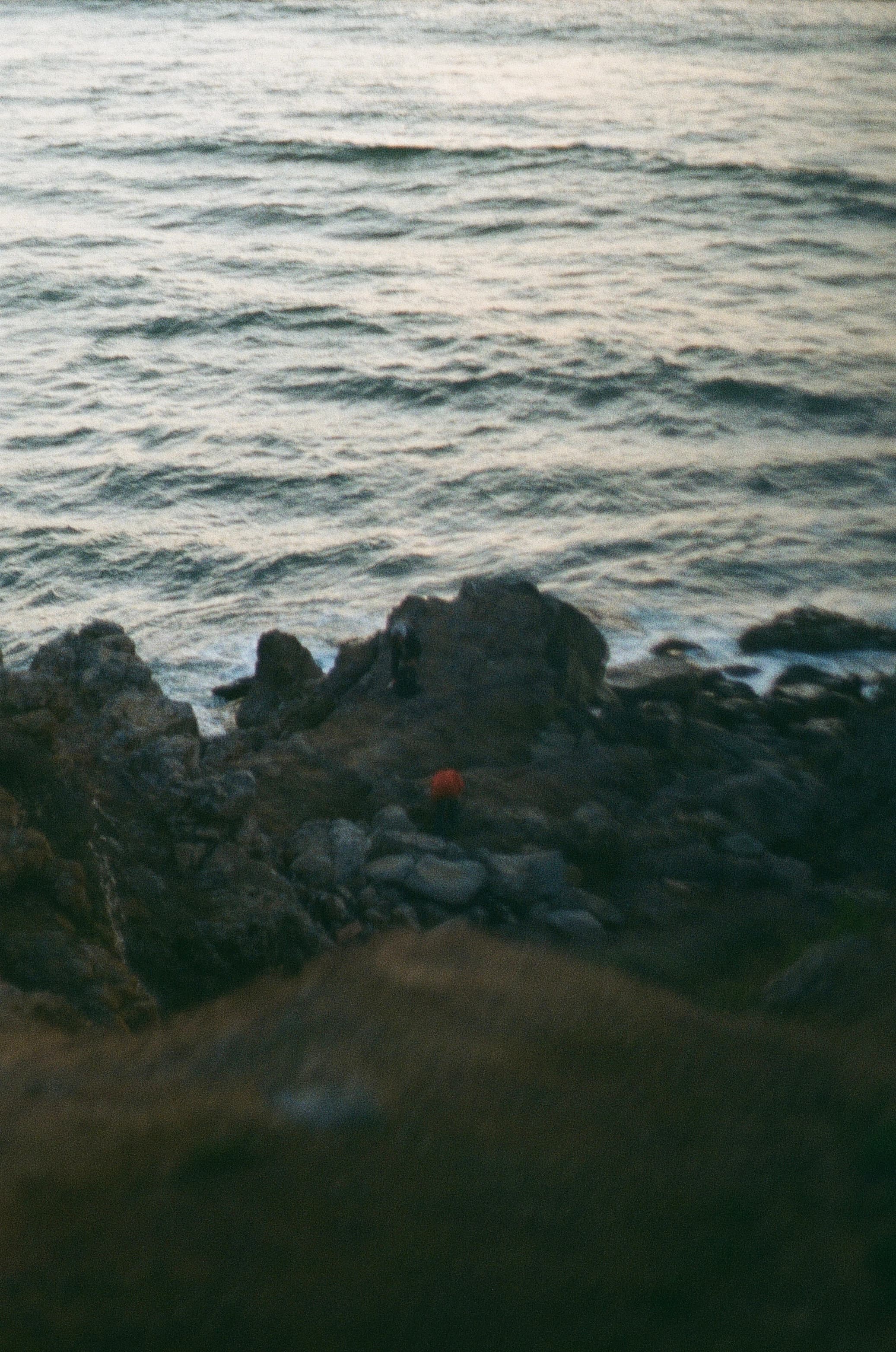Film photograph by Nicholas Kouzmanoff