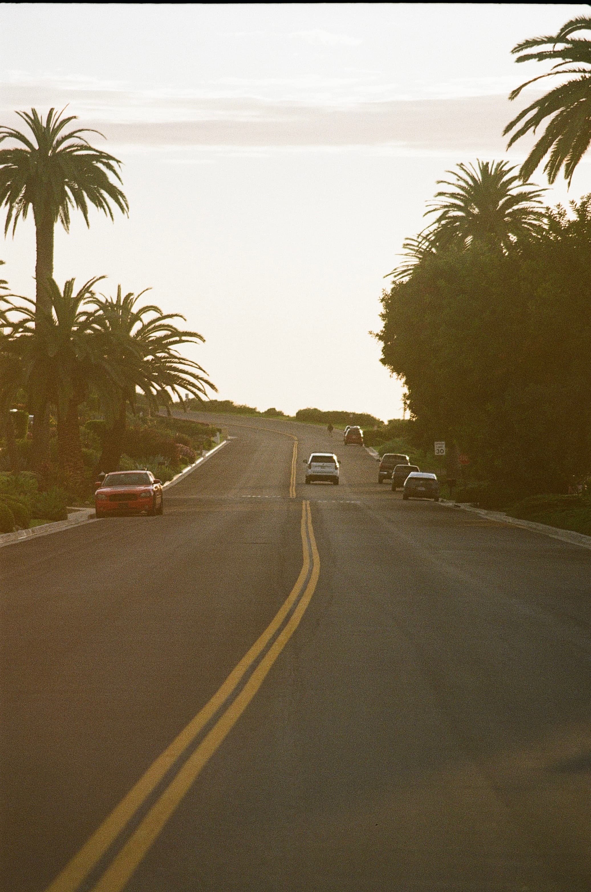 Film photograph by Nicholas Kouzmanoff