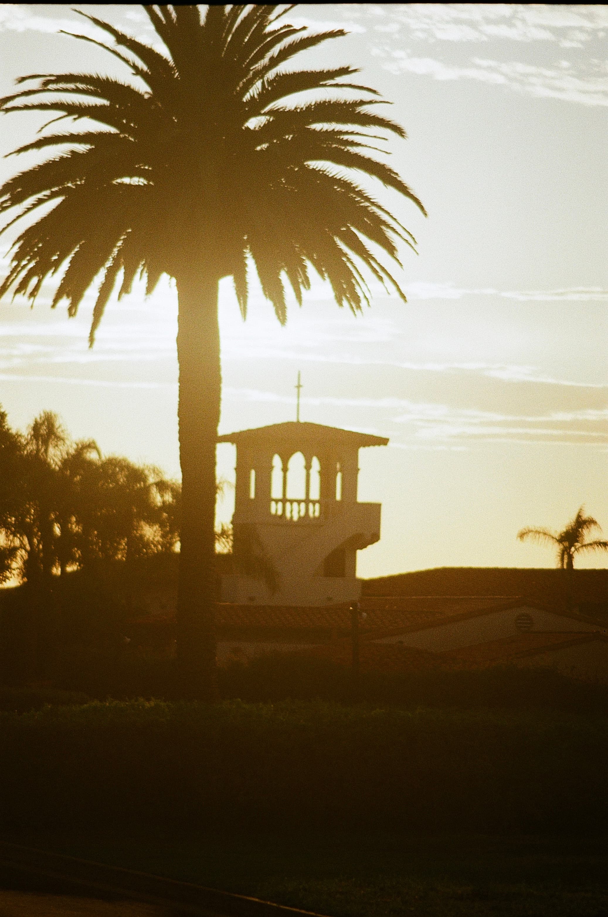 Film photograph by Nicholas Kouzmanoff