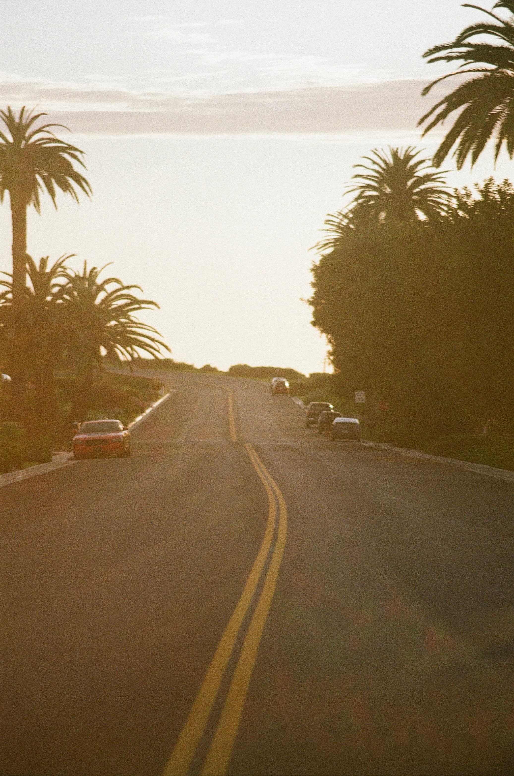 Film photograph by Nicholas Kouzmanoff