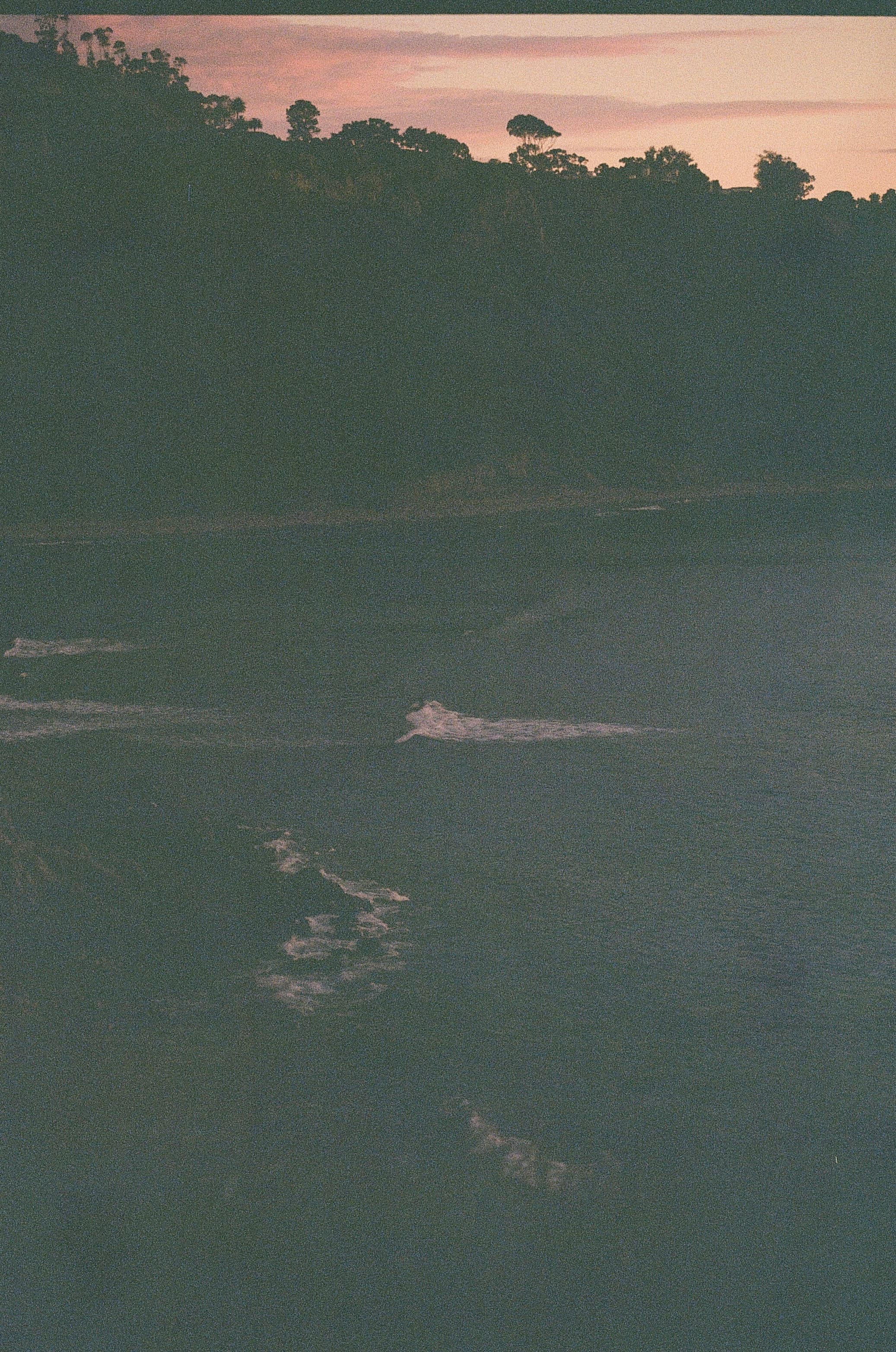 Film photograph by Nicholas Kouzmanoff