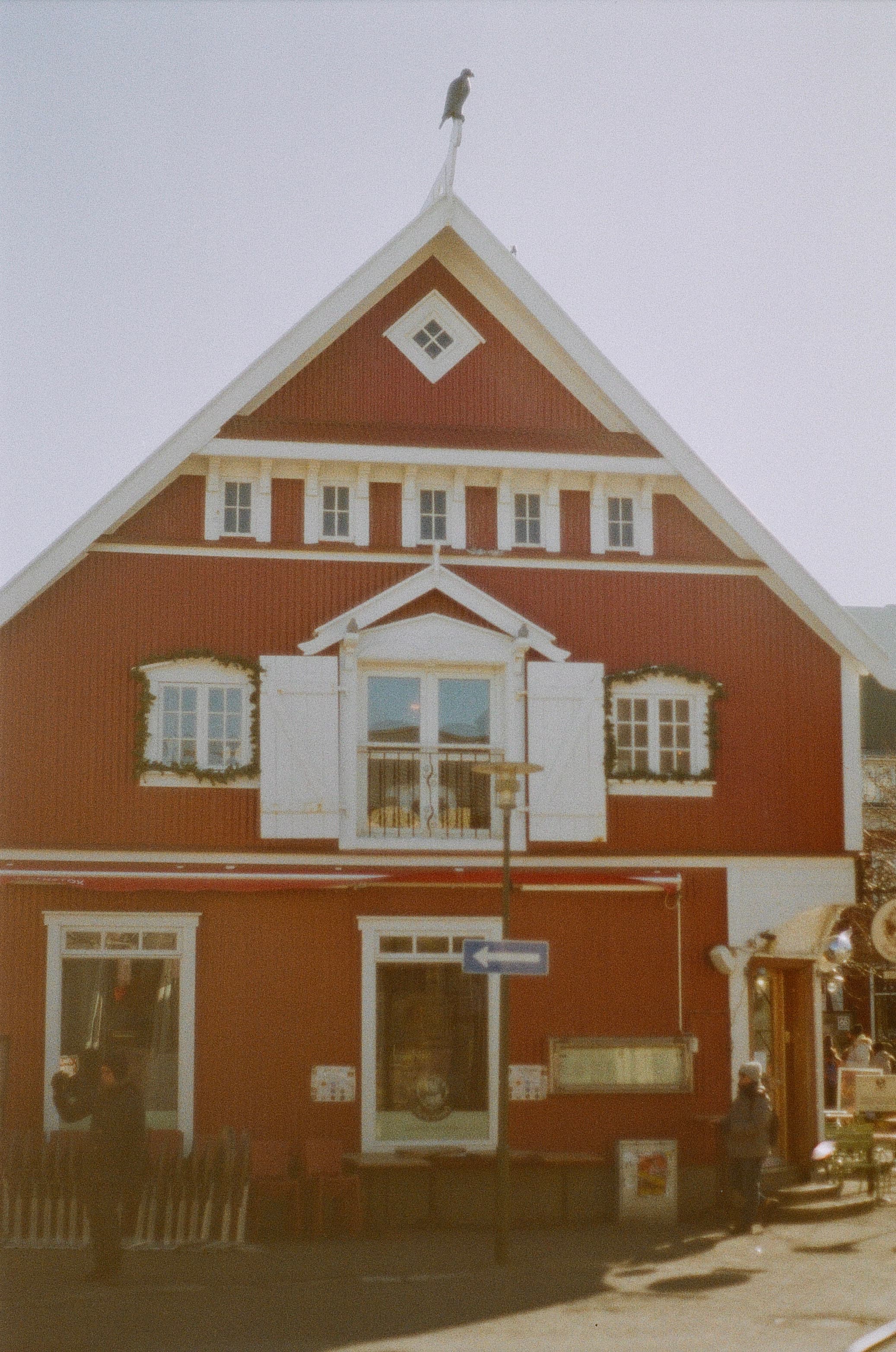 Film photograph by Nicholas Kouzmanoff