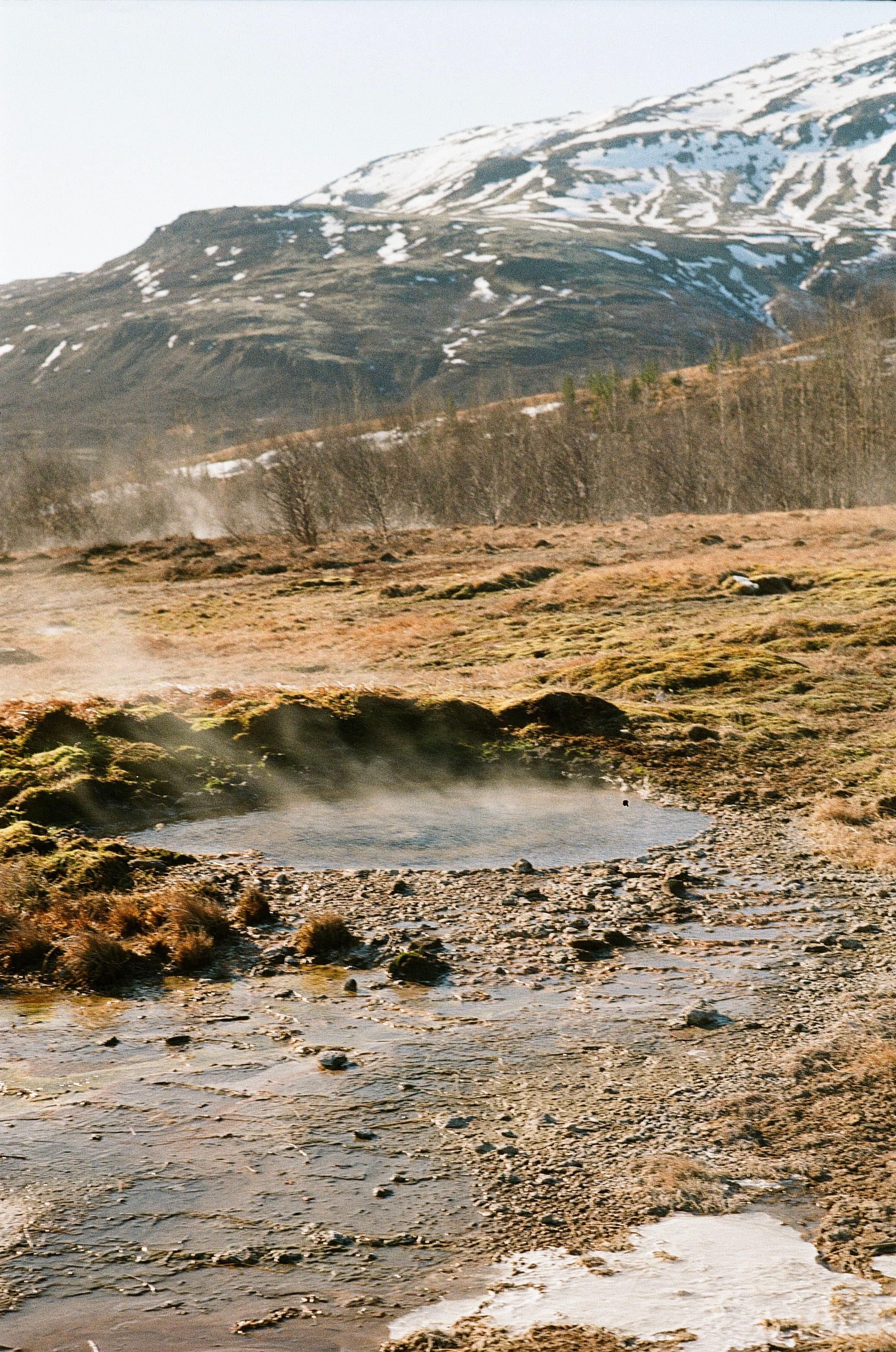 Film photograph by Nicholas Kouzmanoff