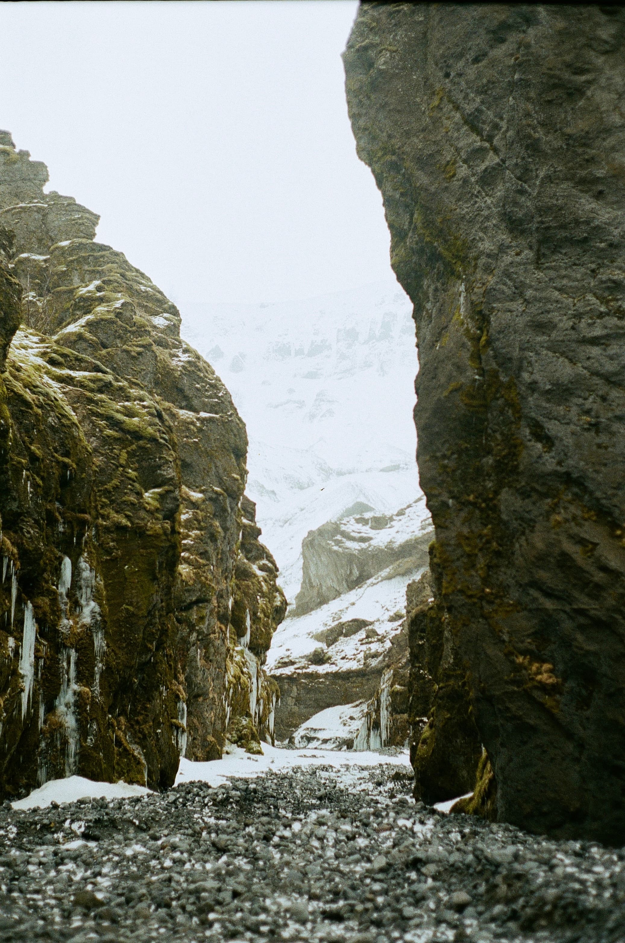 Film photograph by Nicholas Kouzmanoff