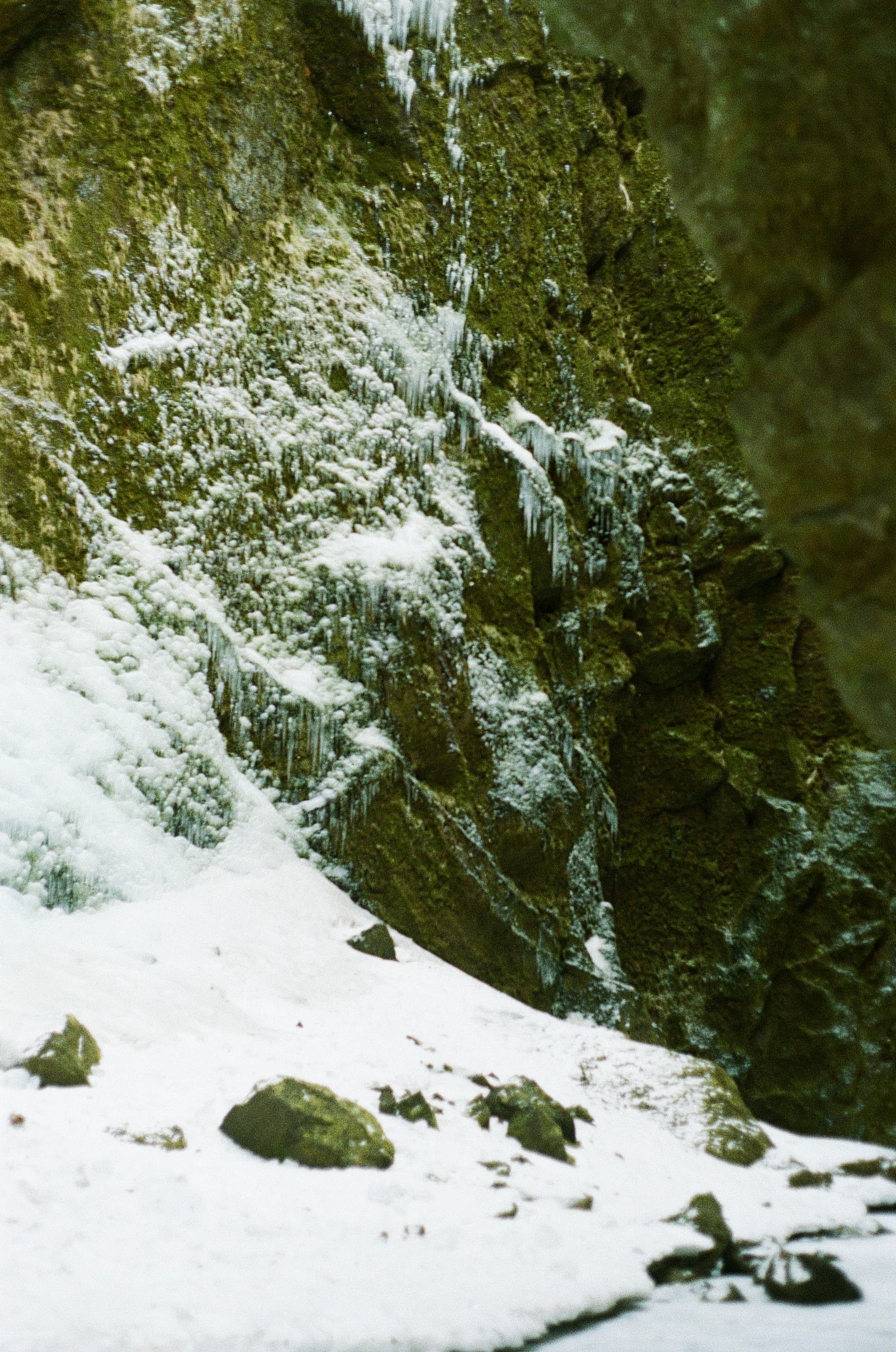 Film photograph by Nicholas Kouzmanoff
