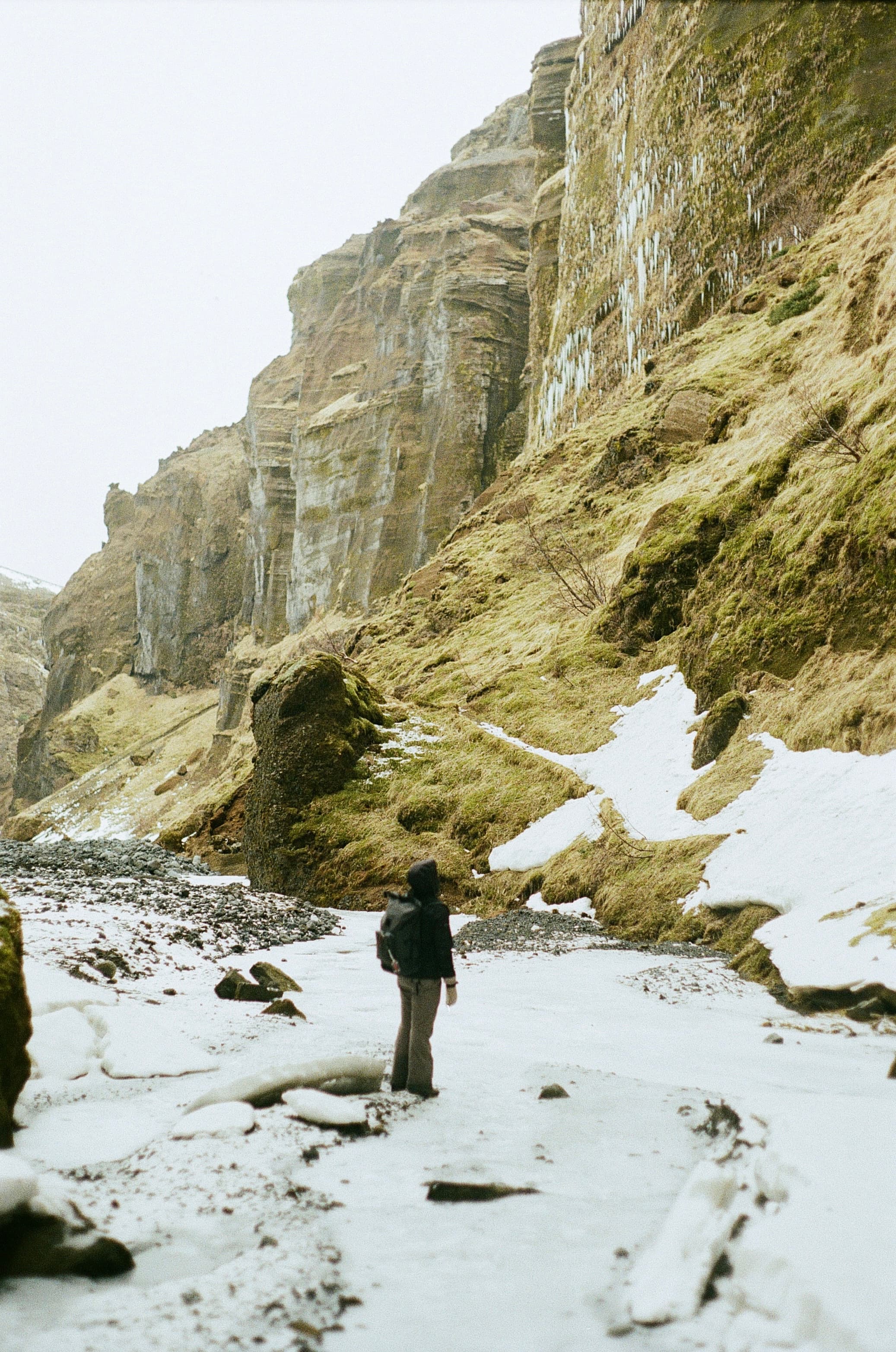Film photograph by Nicholas Kouzmanoff