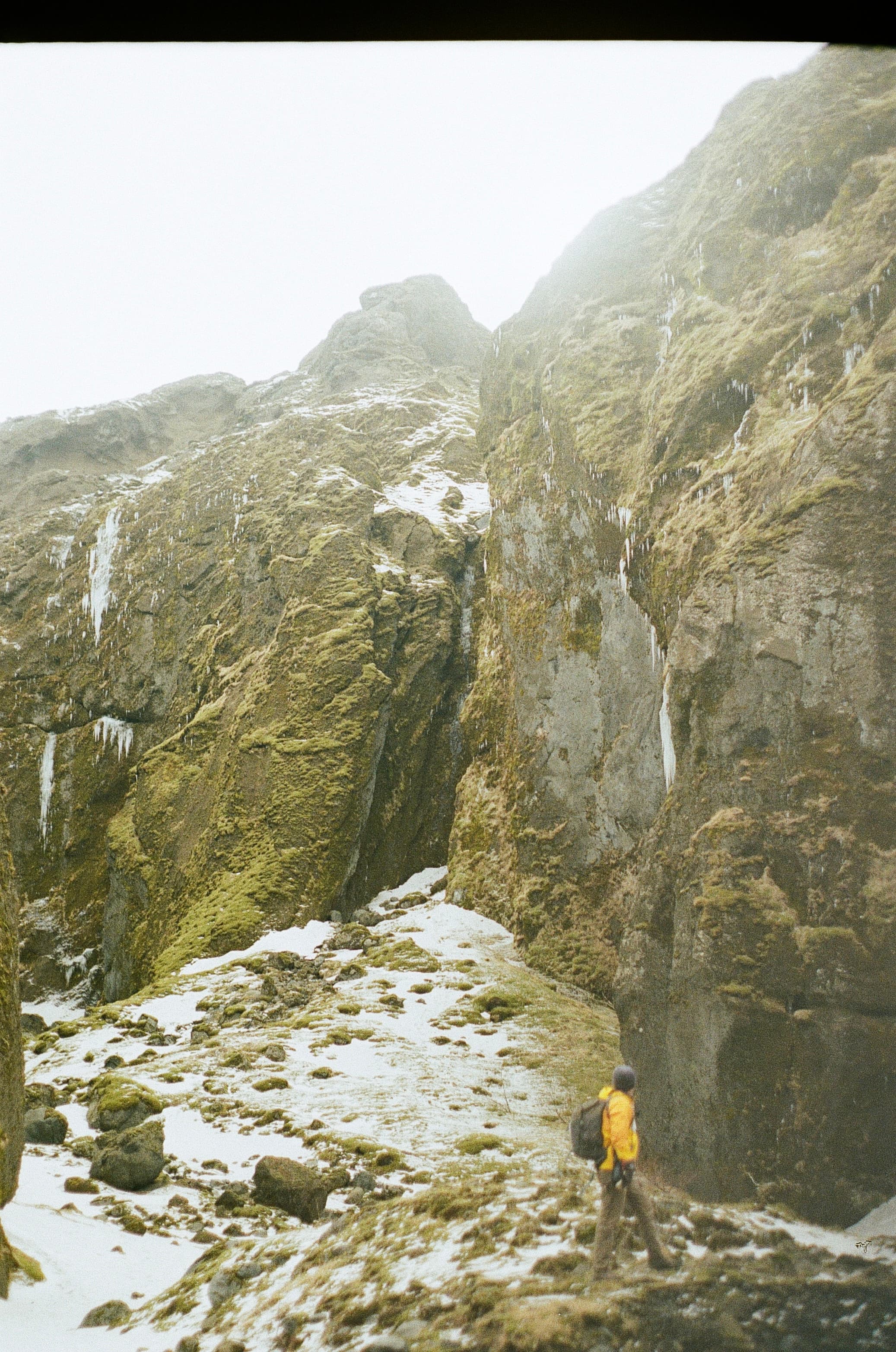 Film photograph by Nicholas Kouzmanoff