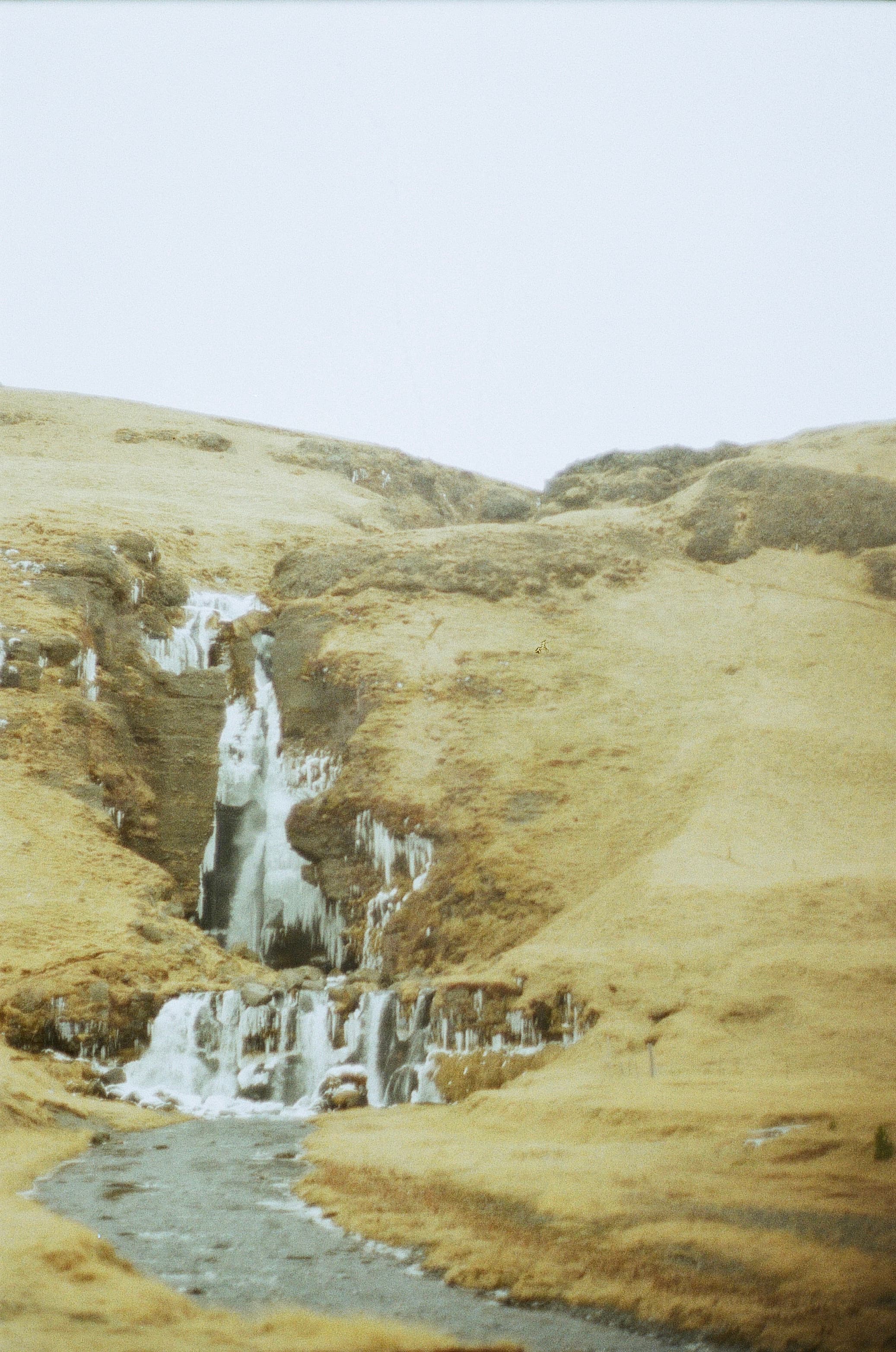 Film photograph by Nicholas Kouzmanoff