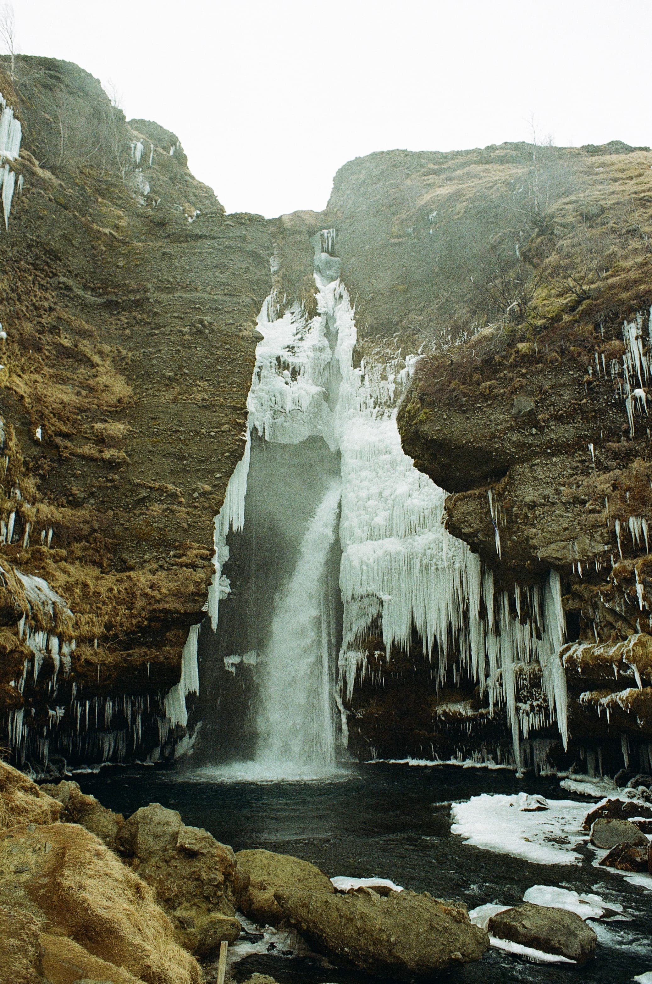 Film photograph by Nicholas Kouzmanoff