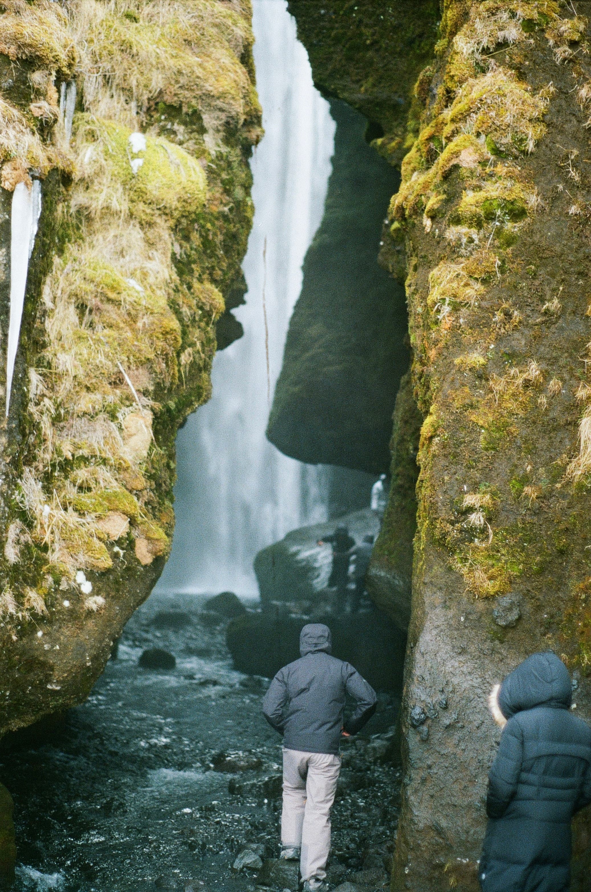 Film photograph by Nicholas Kouzmanoff