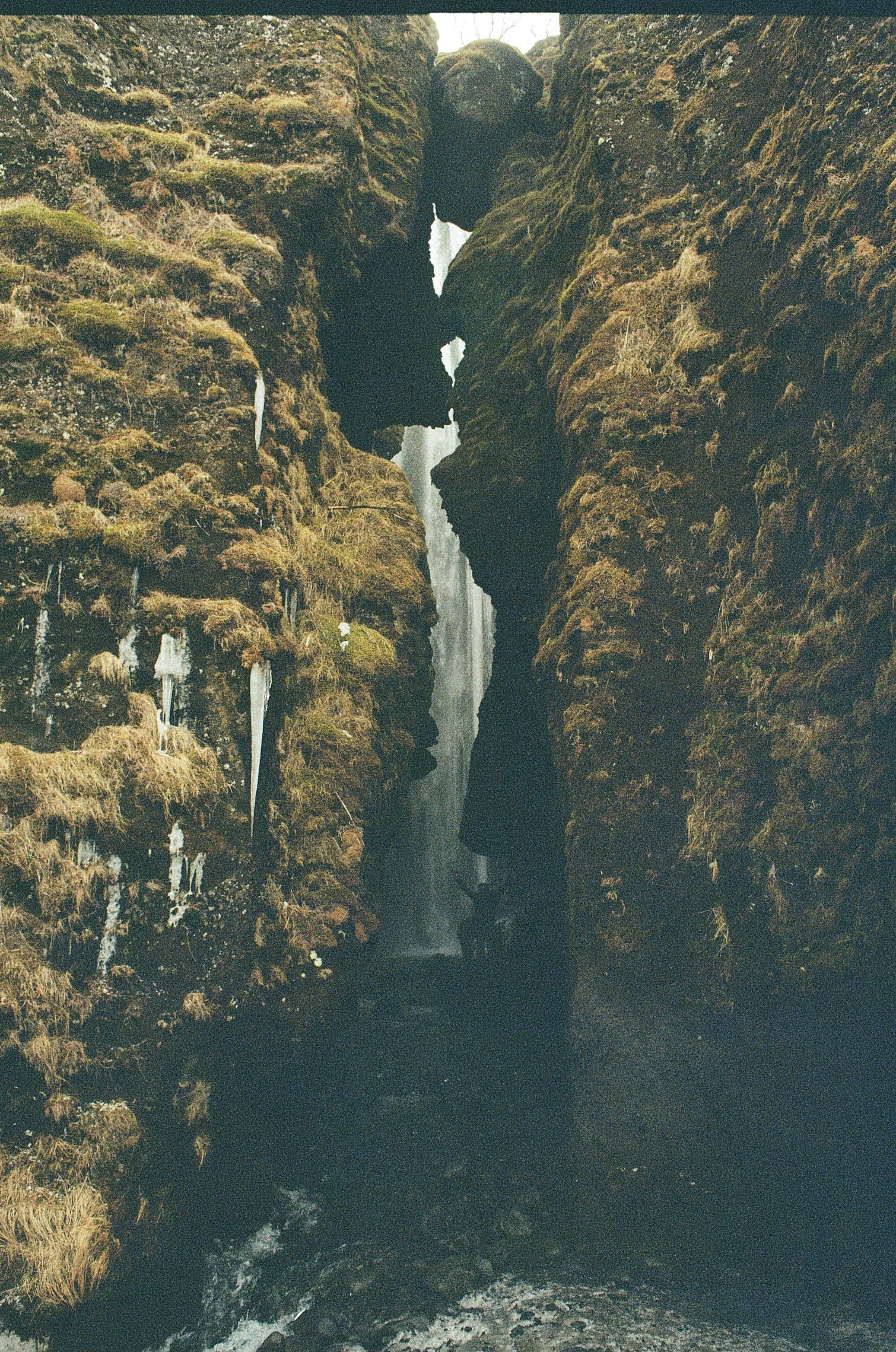 Film photograph by Nicholas Kouzmanoff