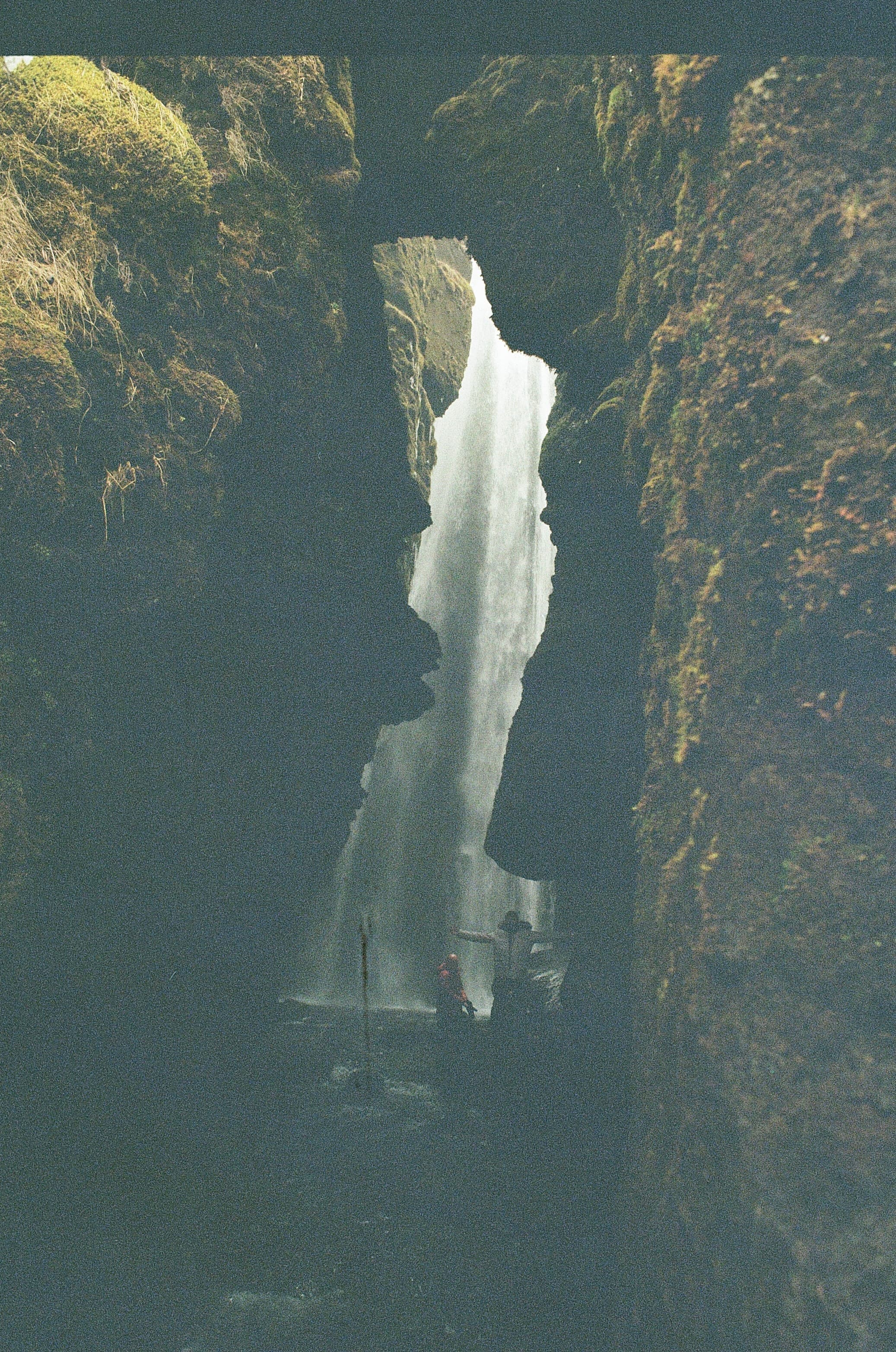 Film photograph by Nicholas Kouzmanoff