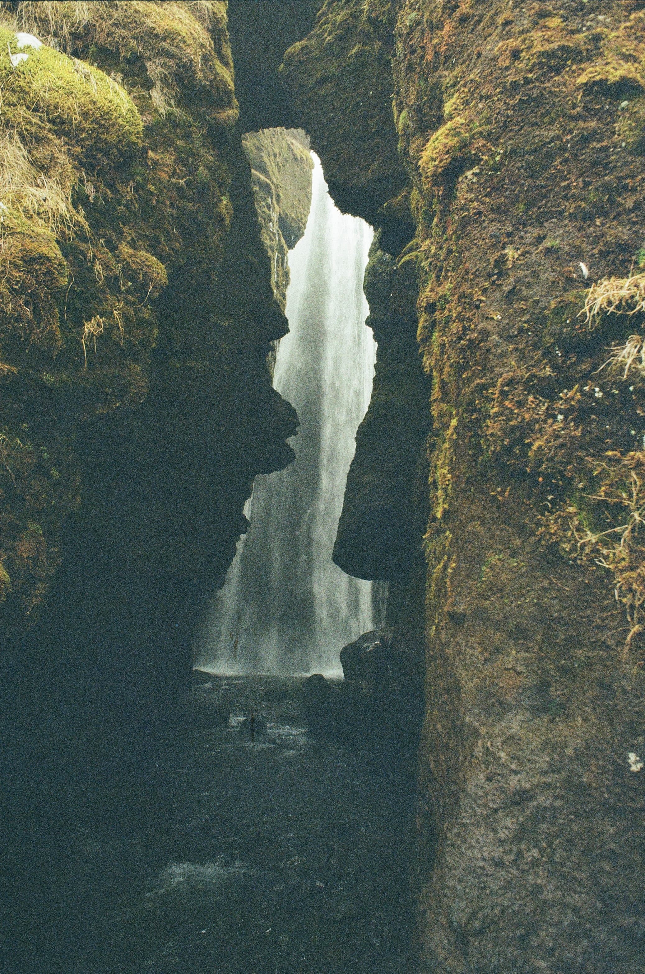 Film photograph by Nicholas Kouzmanoff