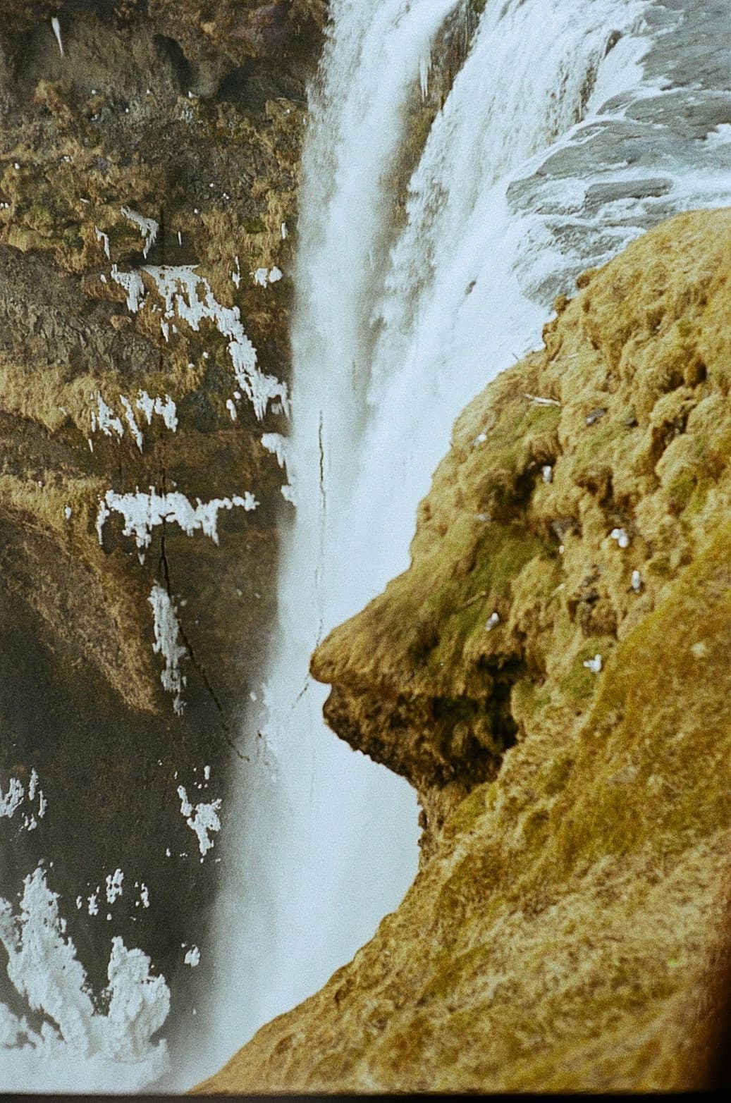 Film photograph by Nicholas Kouzmanoff