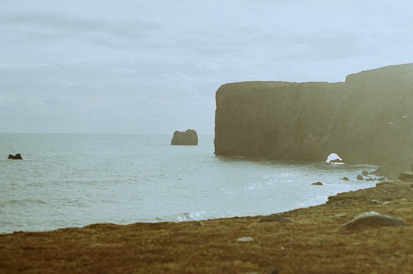 Film photograph by Nicholas Kouzmanoff