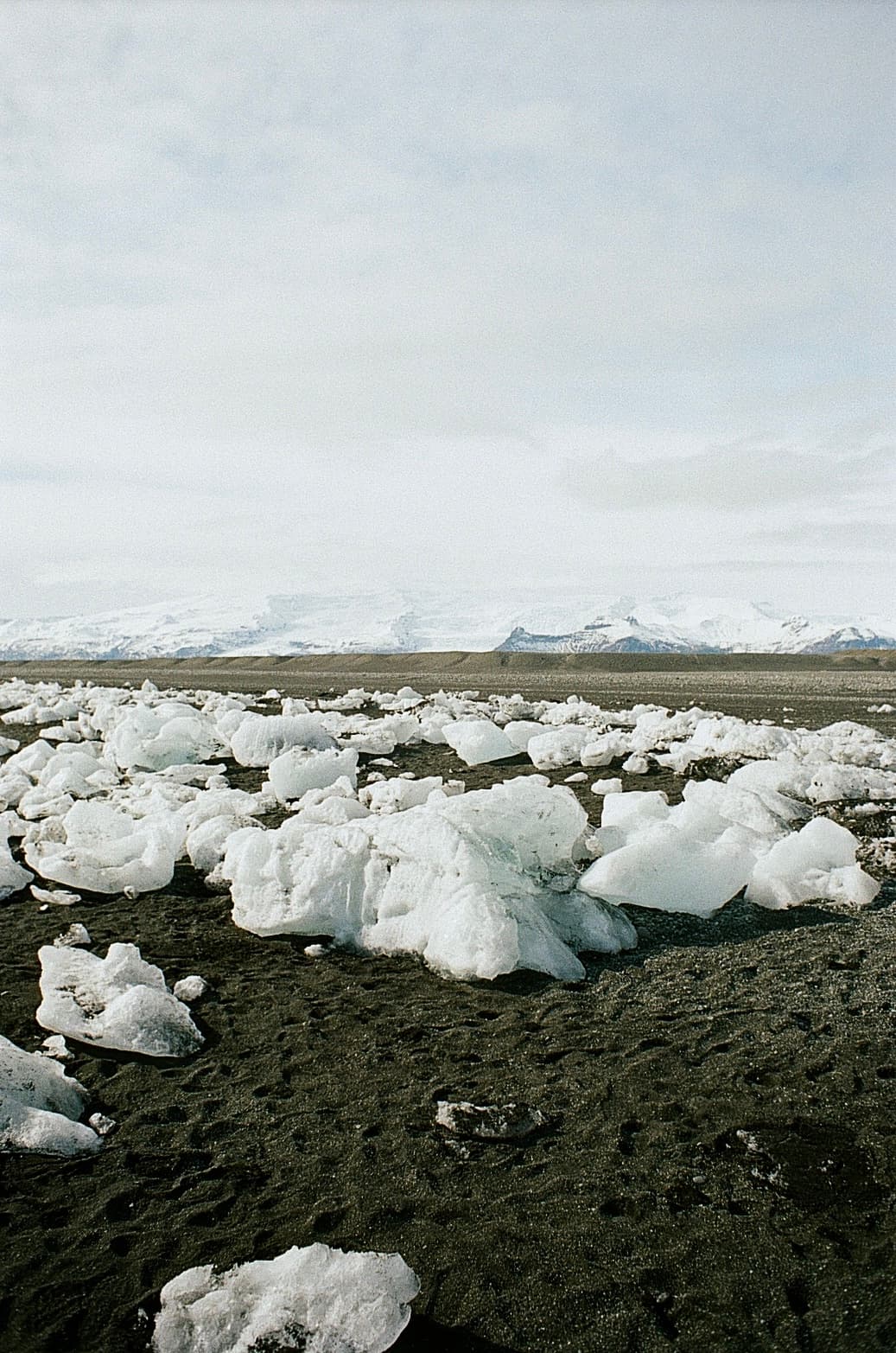 Film photograph by Nicholas Kouzmanoff