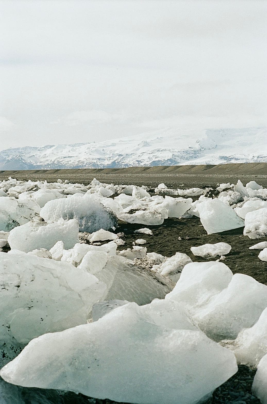 Film photograph by Nicholas Kouzmanoff