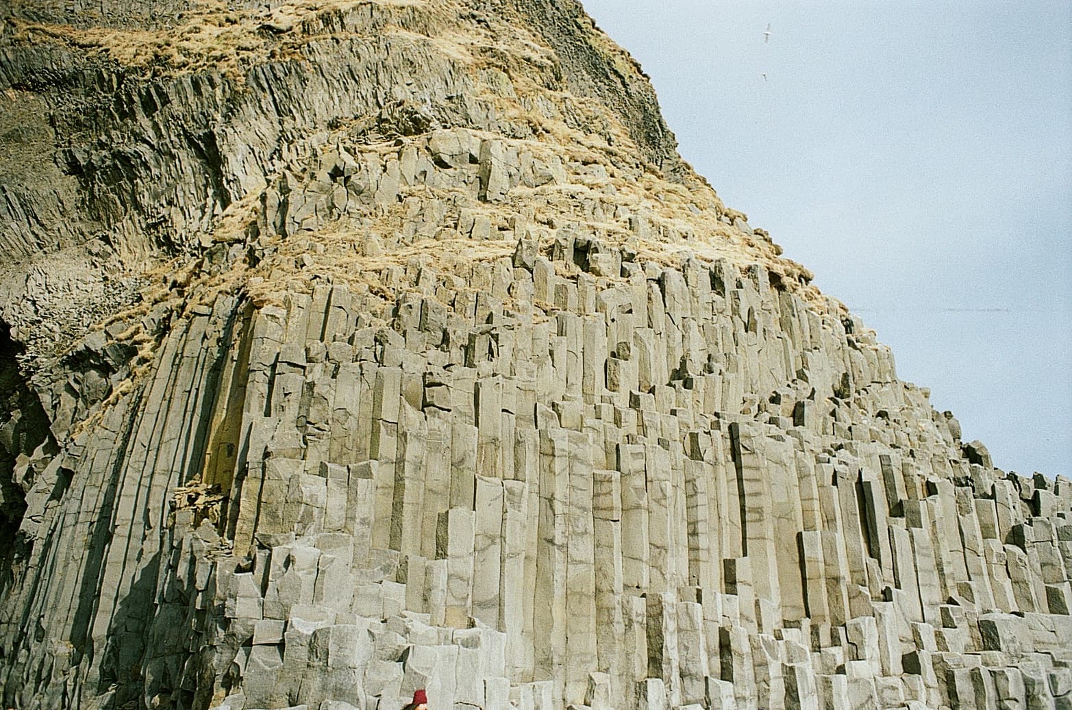 Film photograph by Nicholas Kouzmanoff
