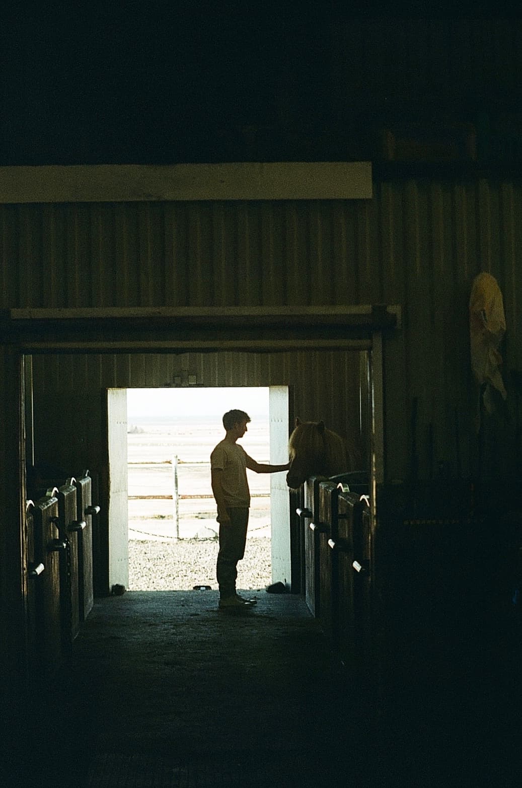 Film photograph by Nicholas Kouzmanoff
