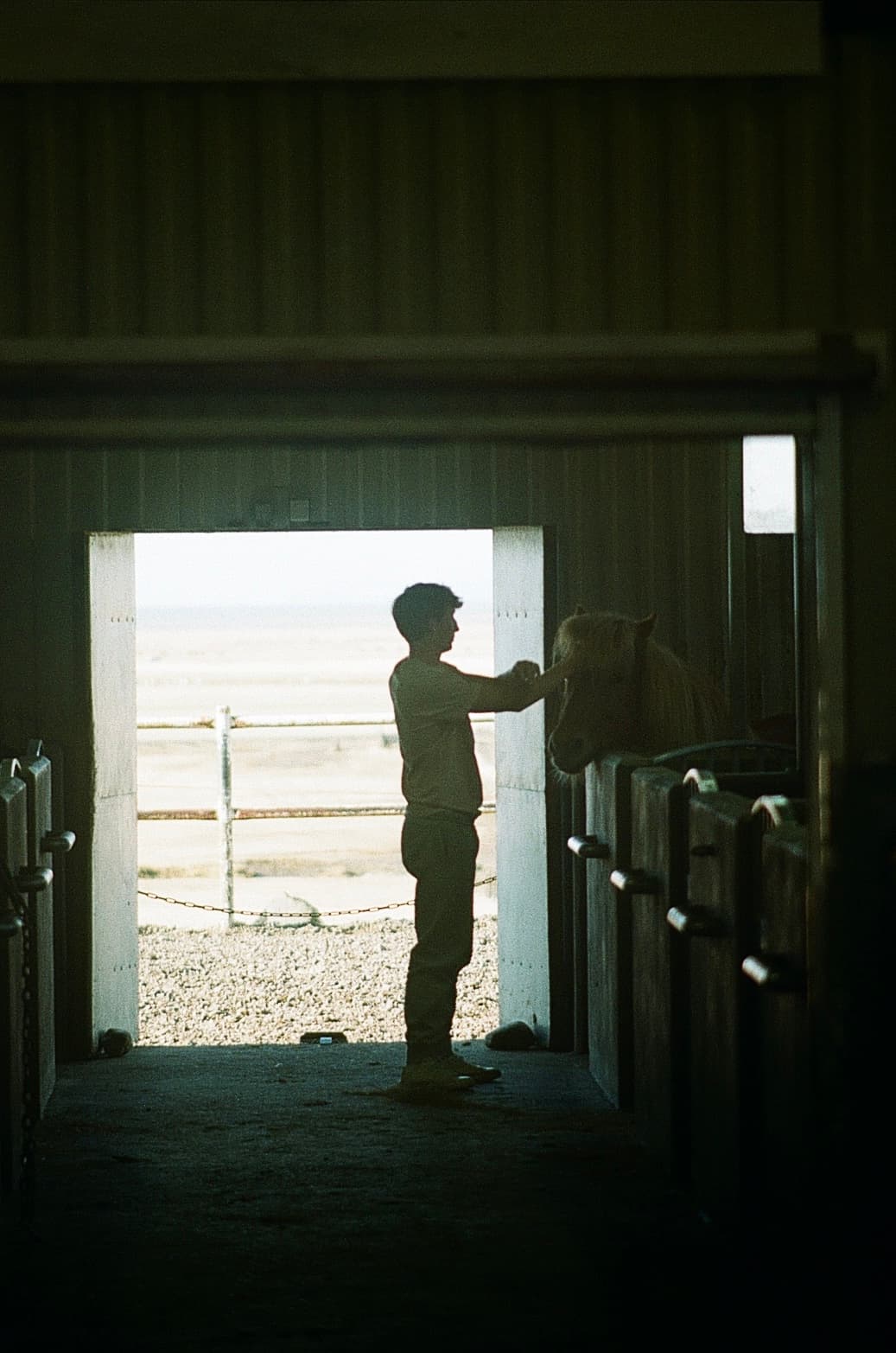 Film photograph by Nicholas Kouzmanoff