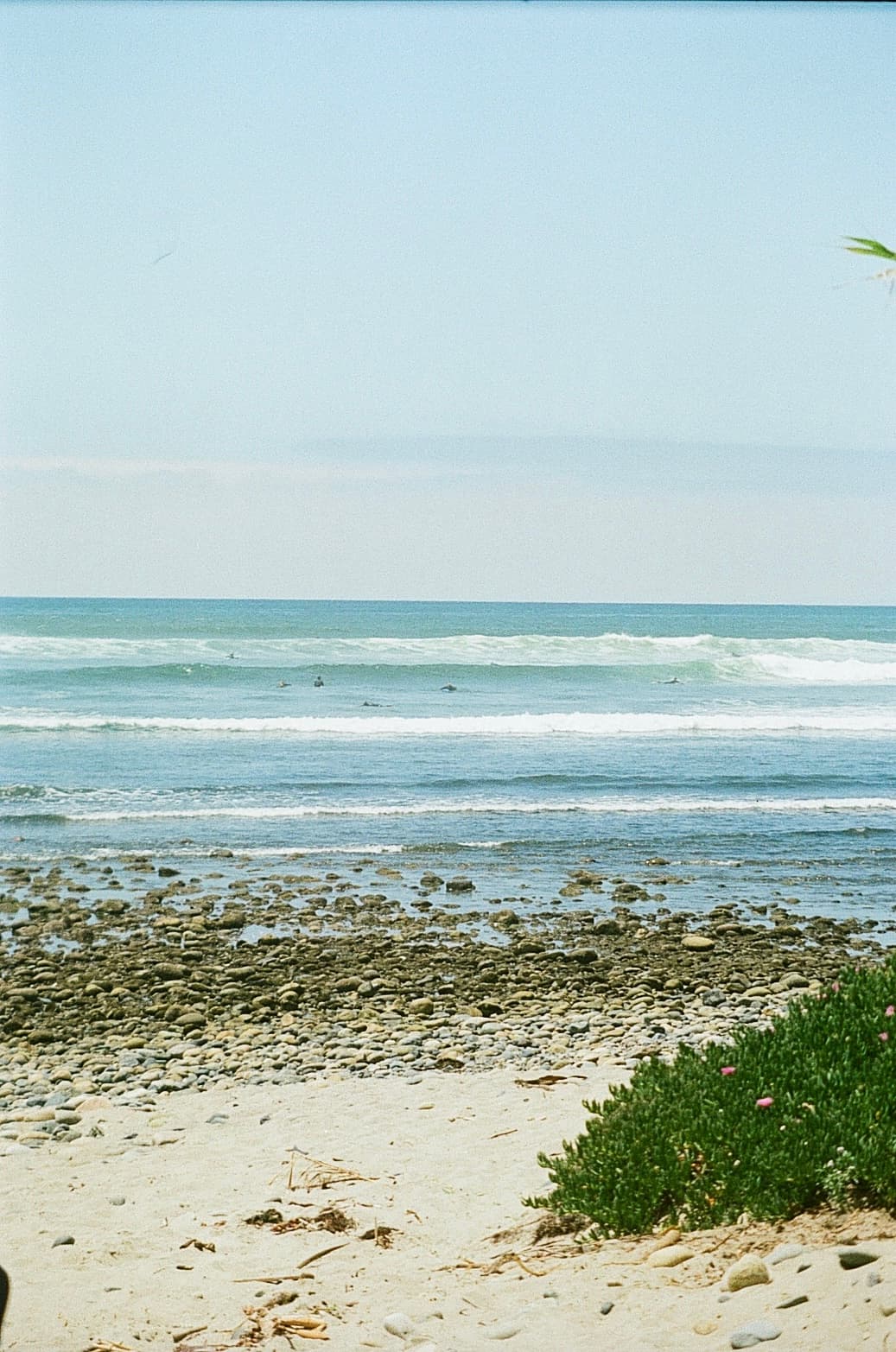 Film photograph by Nicholas Kouzmanoff
