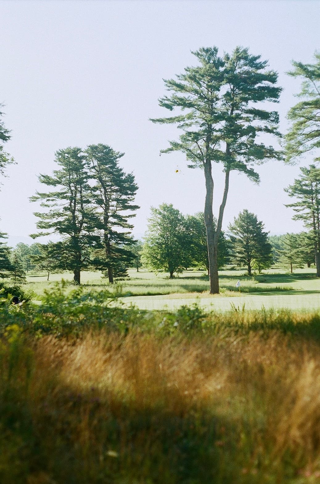 Film photograph by Nicholas Kouzmanoff