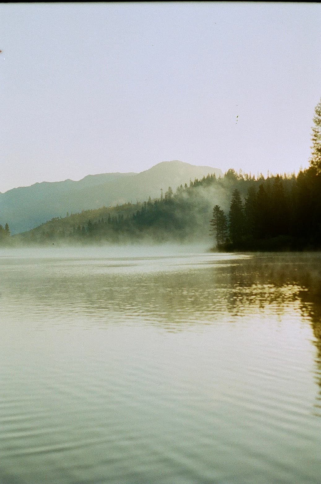 Film photograph by Nicholas Kouzmanoff