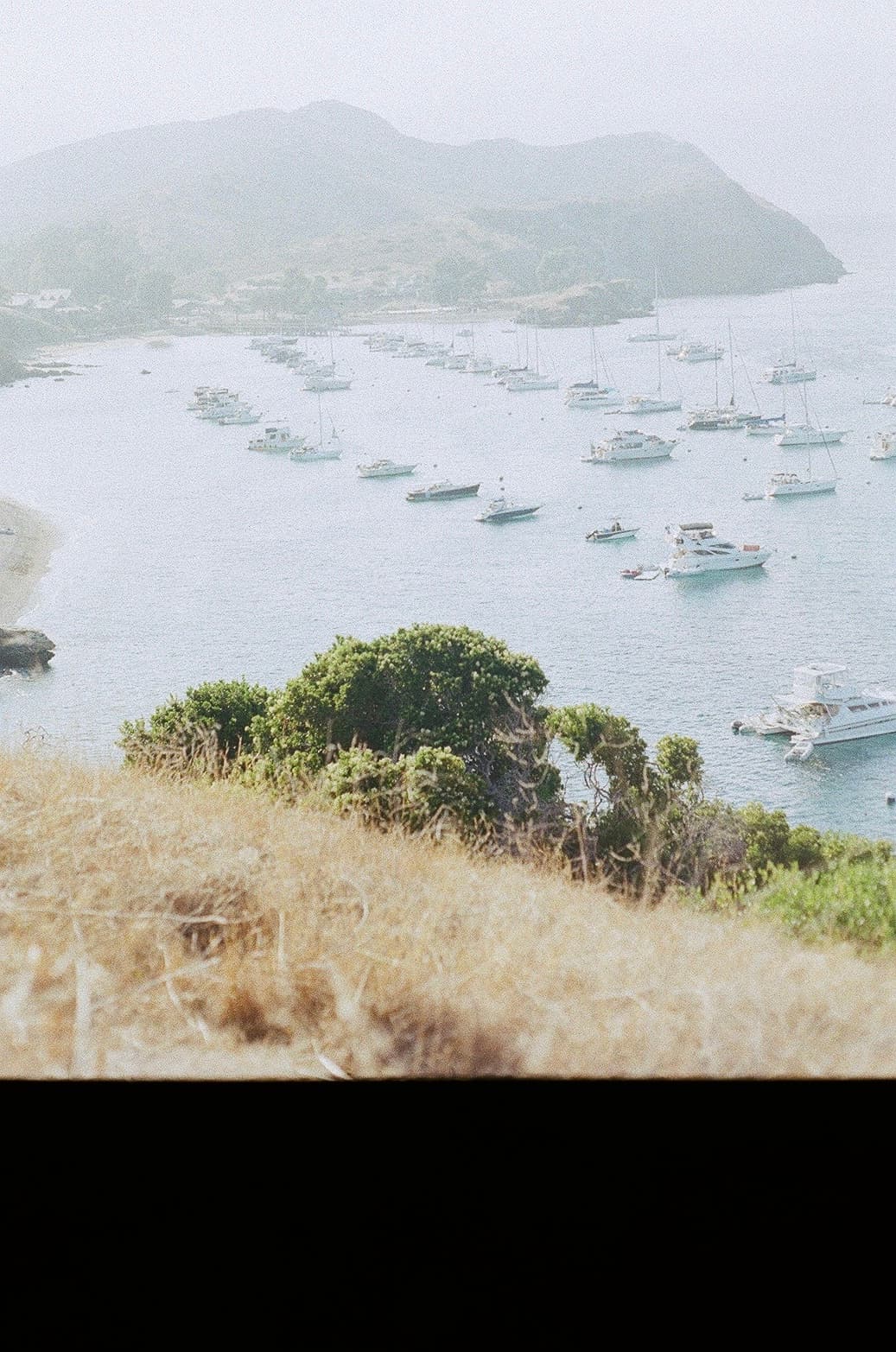 Film photograph by Nicholas Kouzmanoff