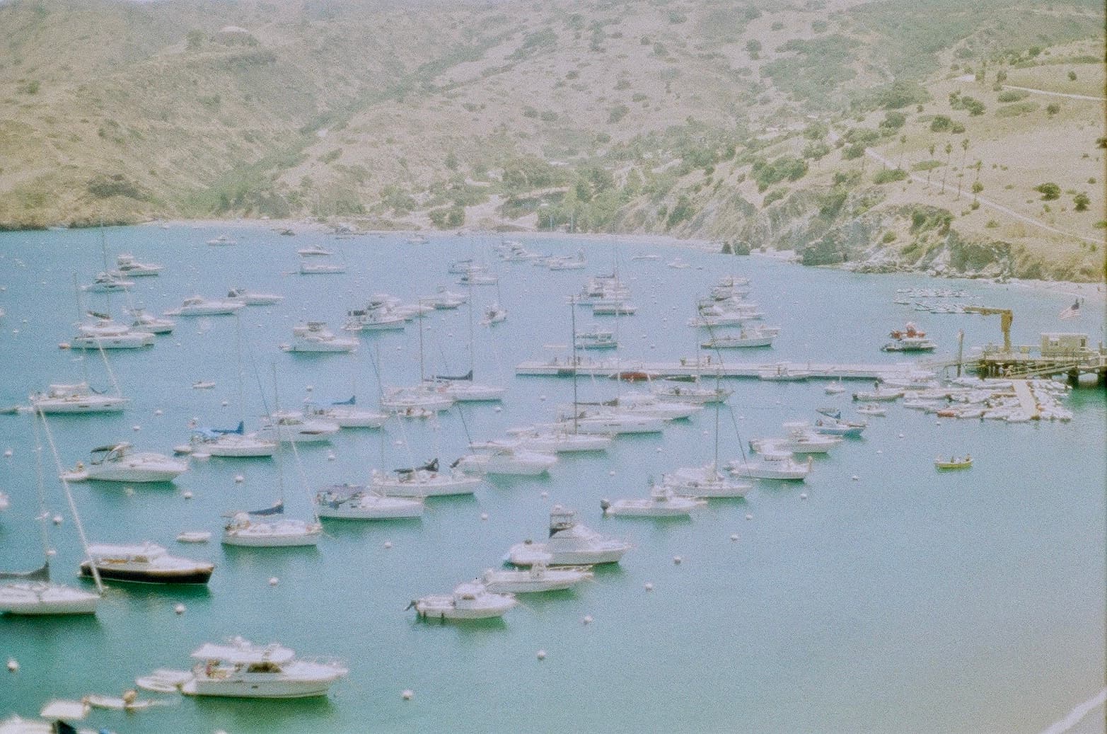 Film photograph by Nicholas Kouzmanoff