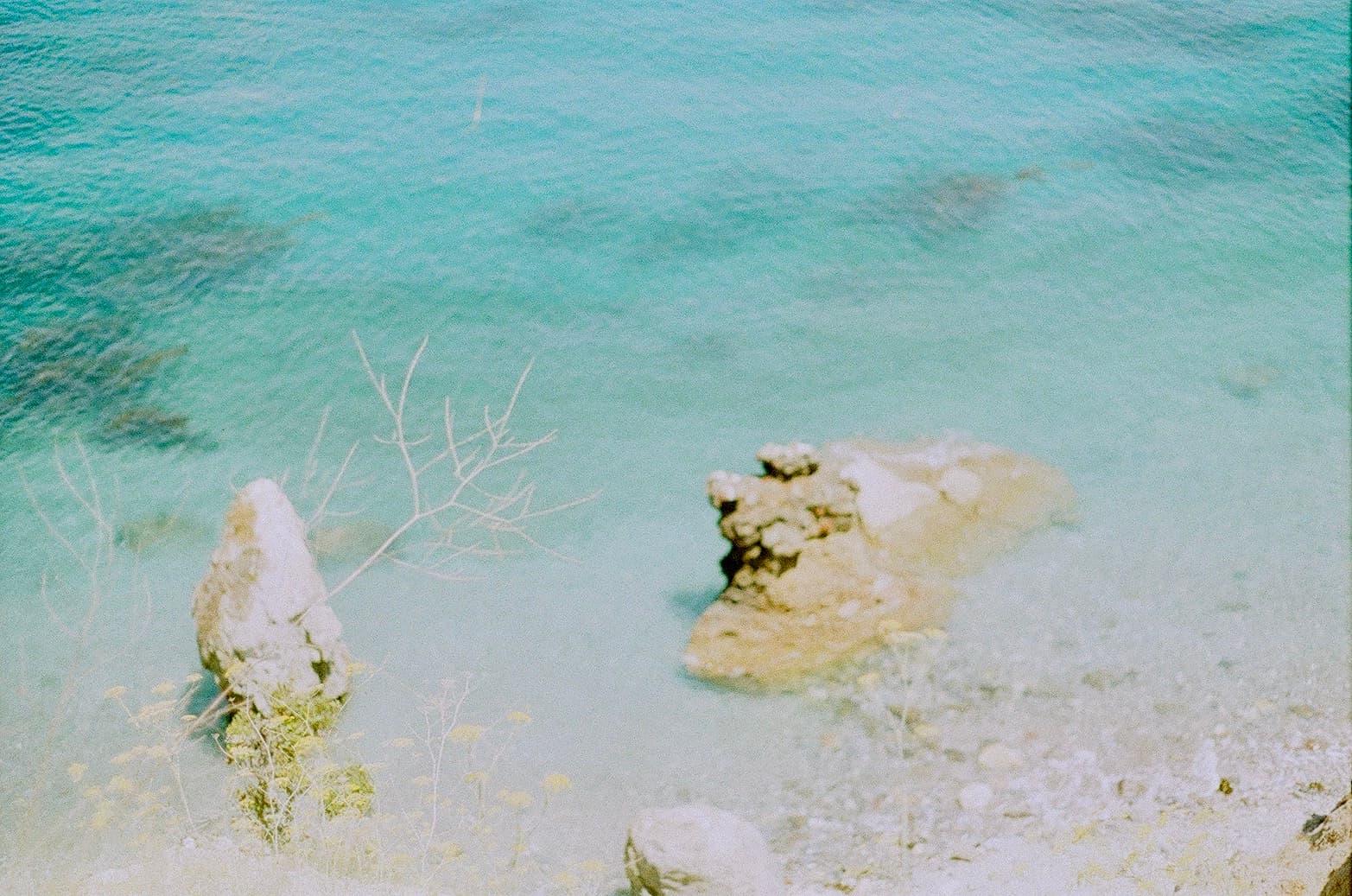 Film photograph by Nicholas Kouzmanoff