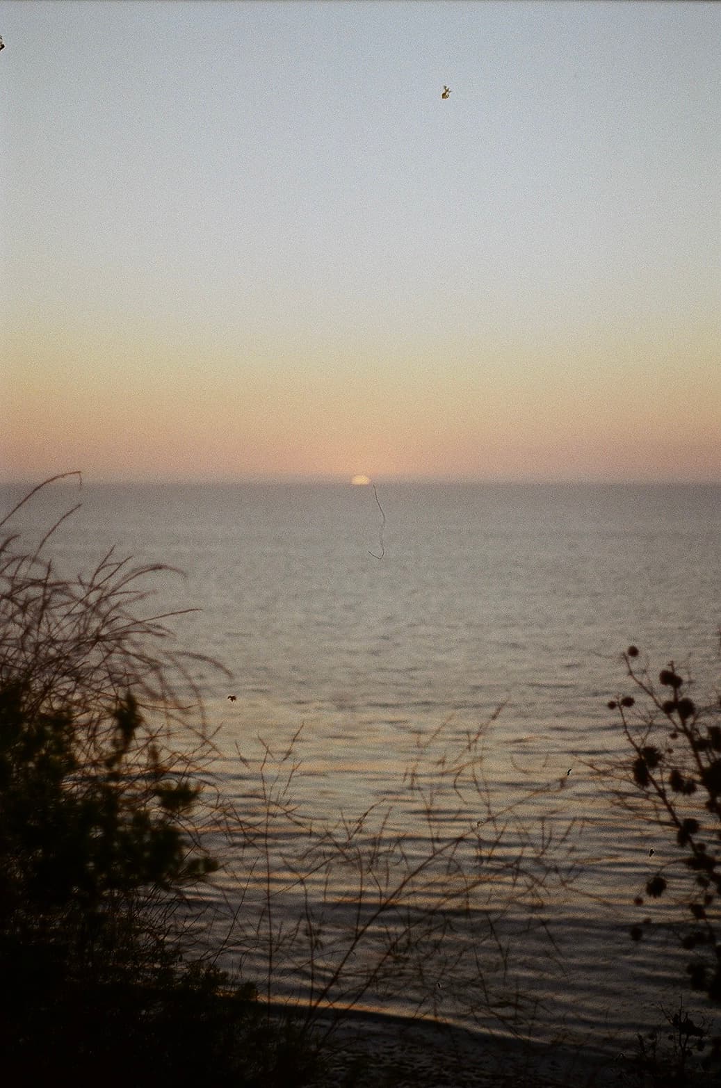 Film photograph by Nicholas Kouzmanoff