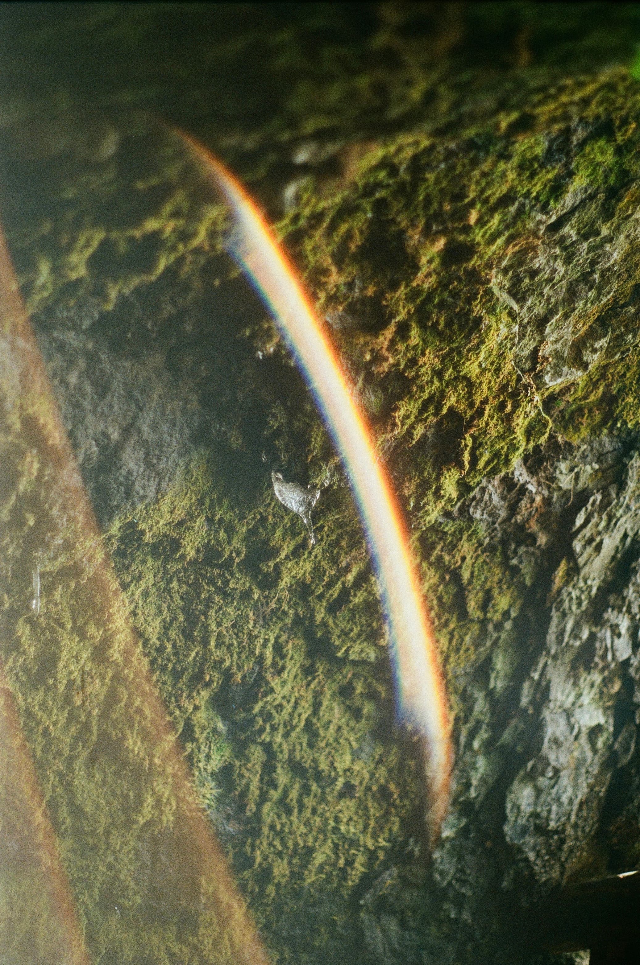Iceland — film photograph by Nicholas Kouzmanoff