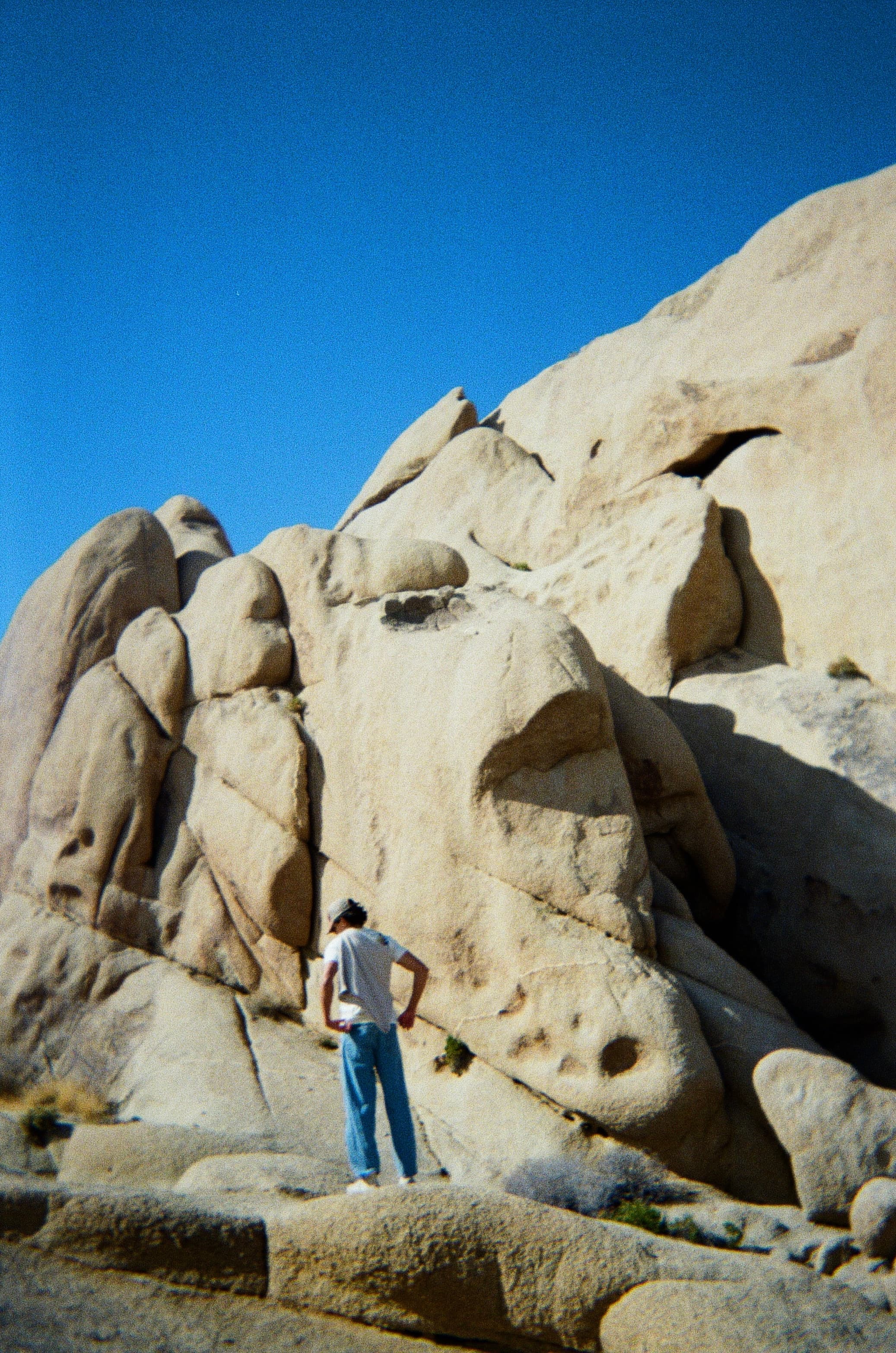 Joshua Tree — film photograph by Nicholas Kouzmanoff