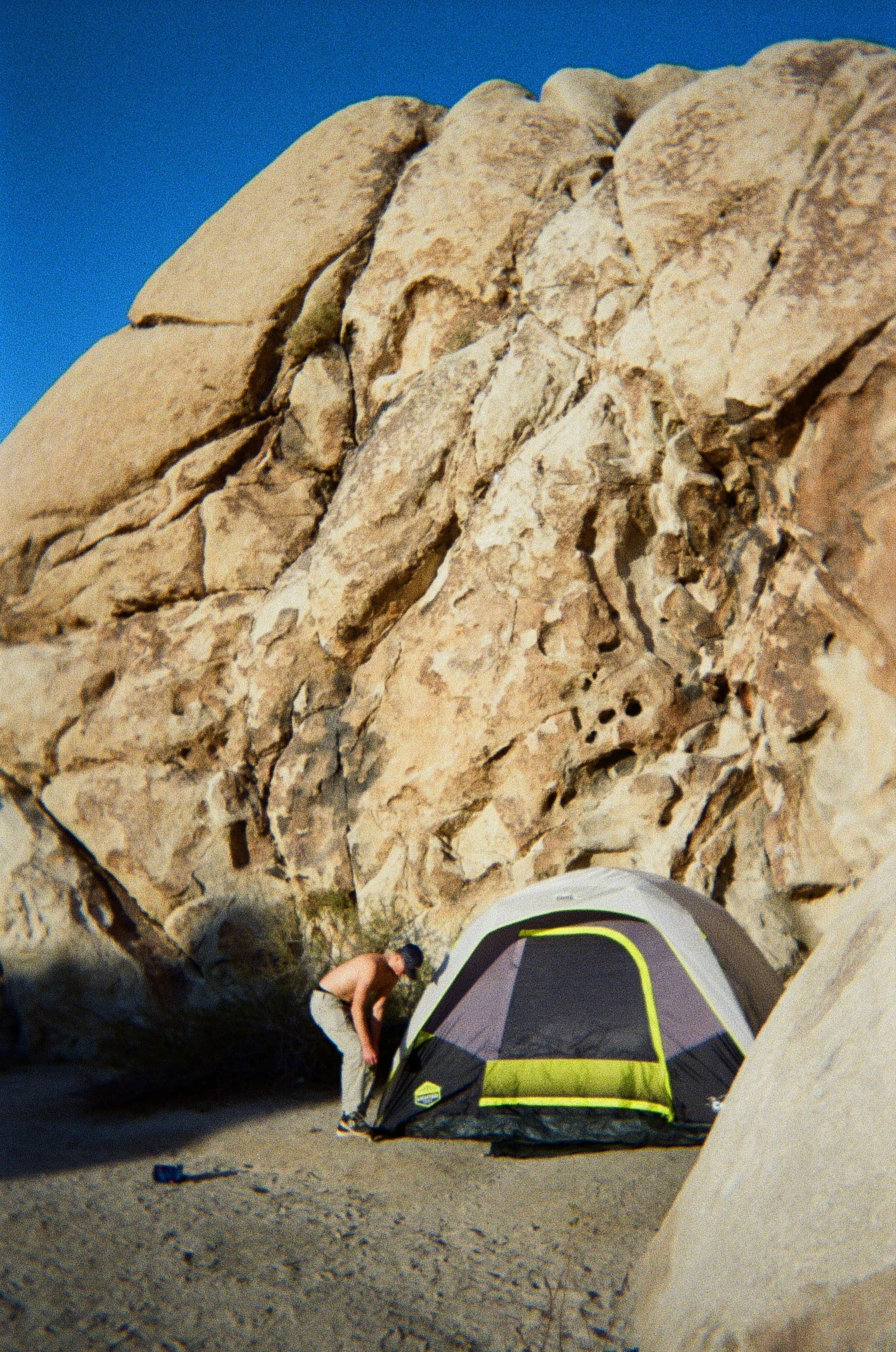Joshua Tree — film photograph by Nicholas Kouzmanoff